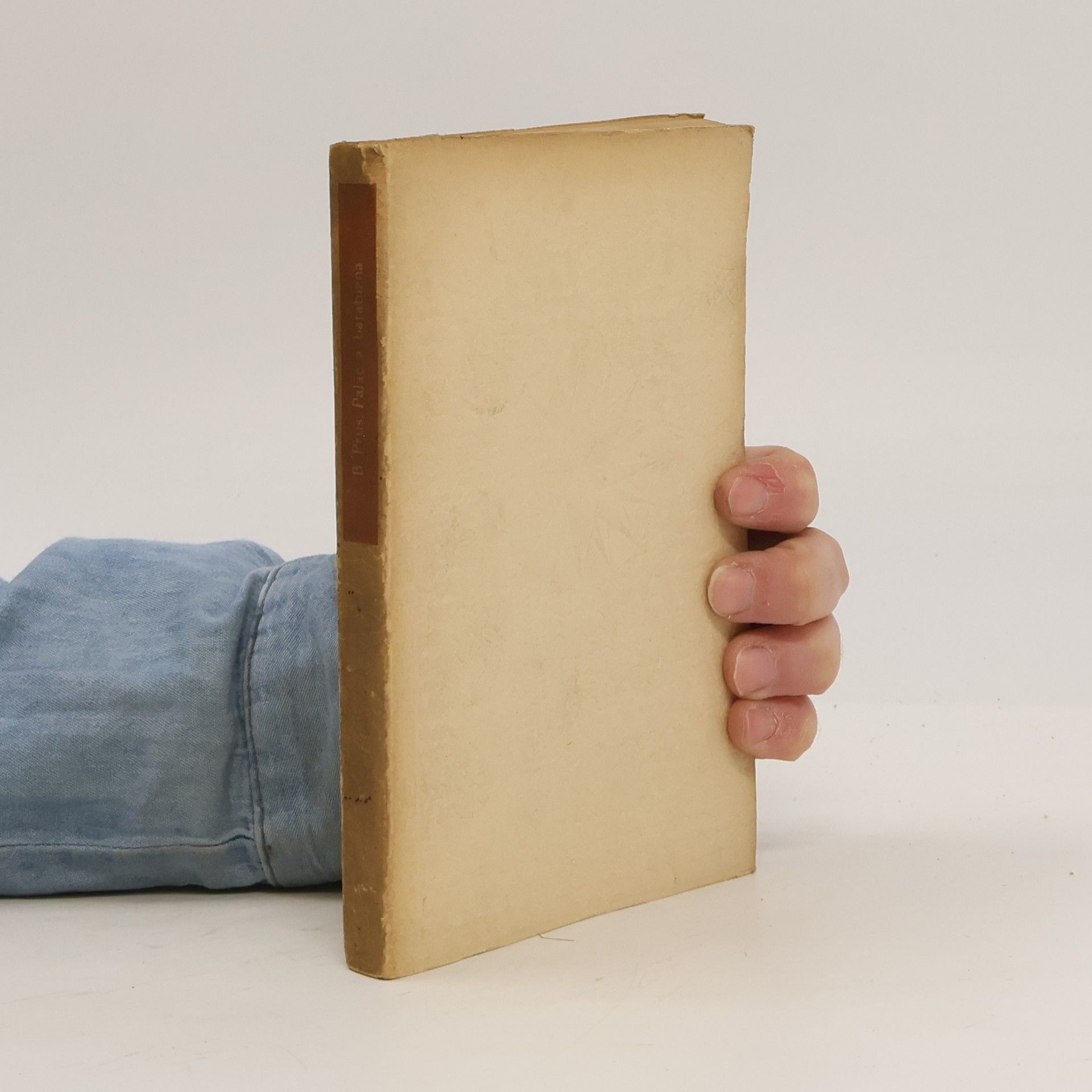 Bolesław Prus Palác a barabizna