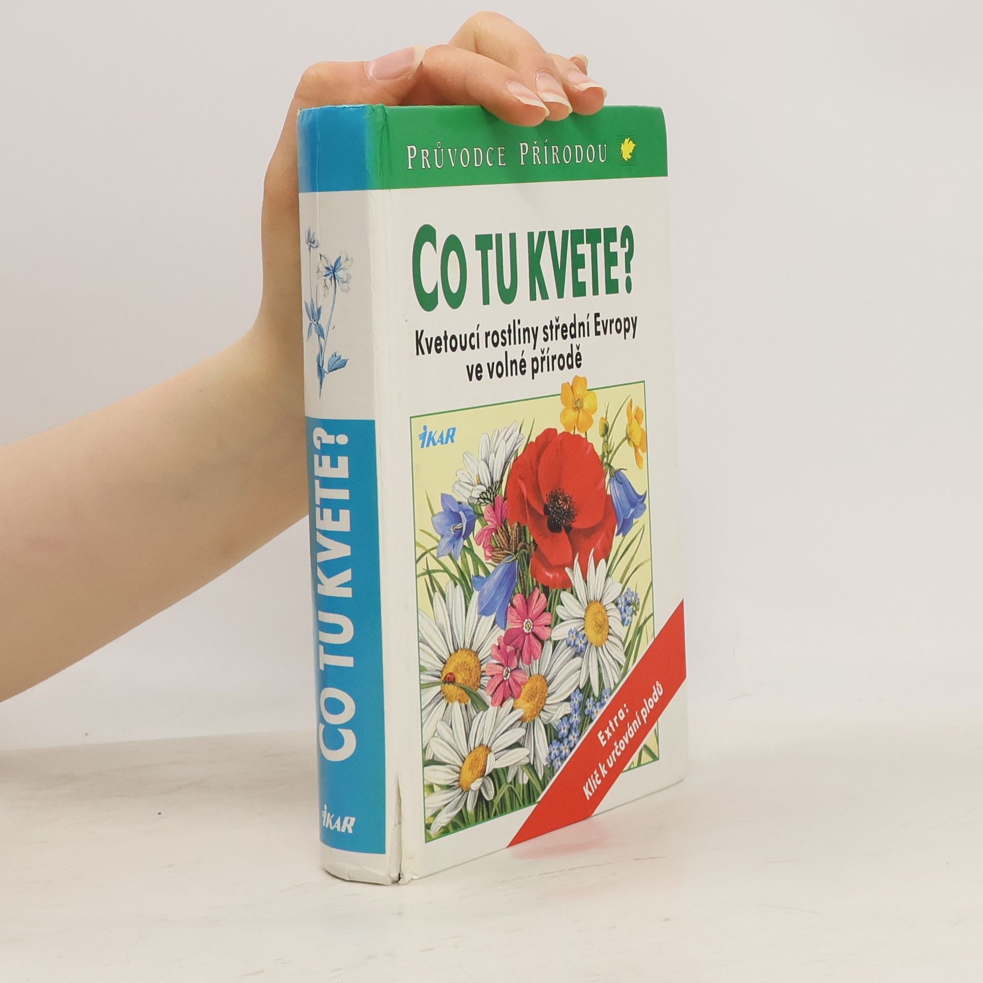 Dietmar Aichele Co tu kvete?