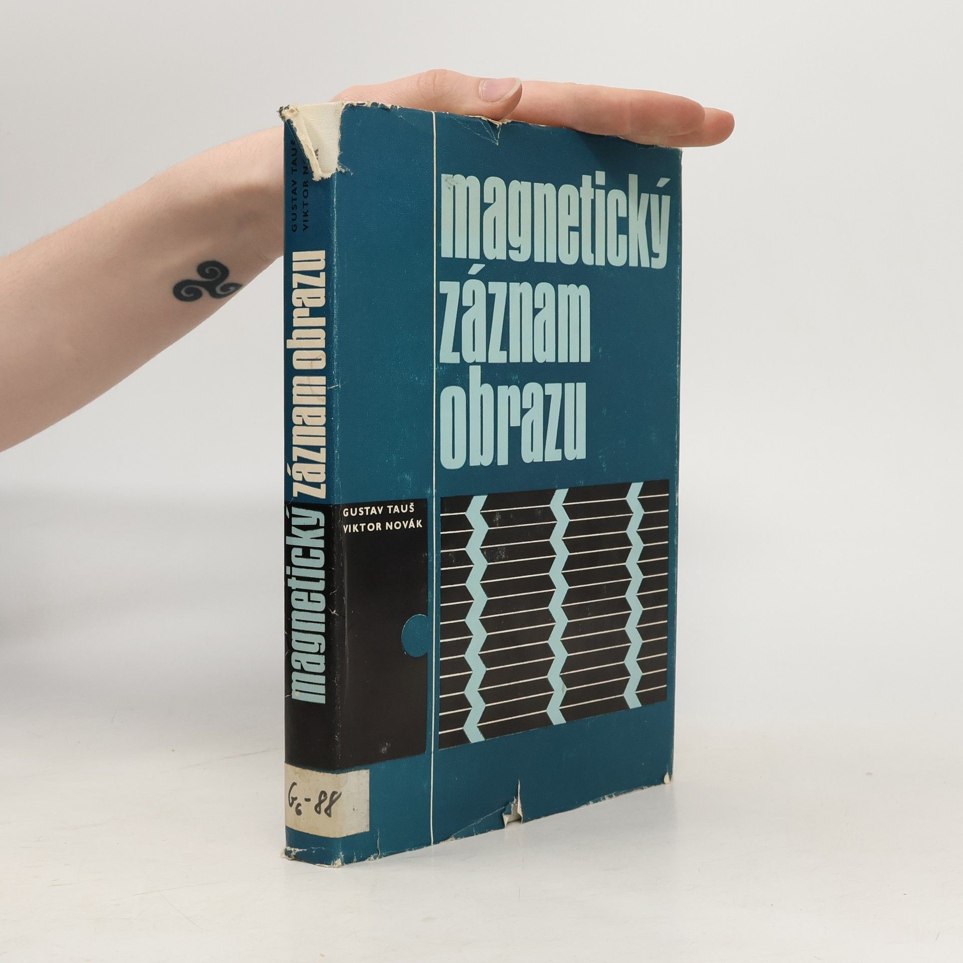 Magnetický záznam obrazu