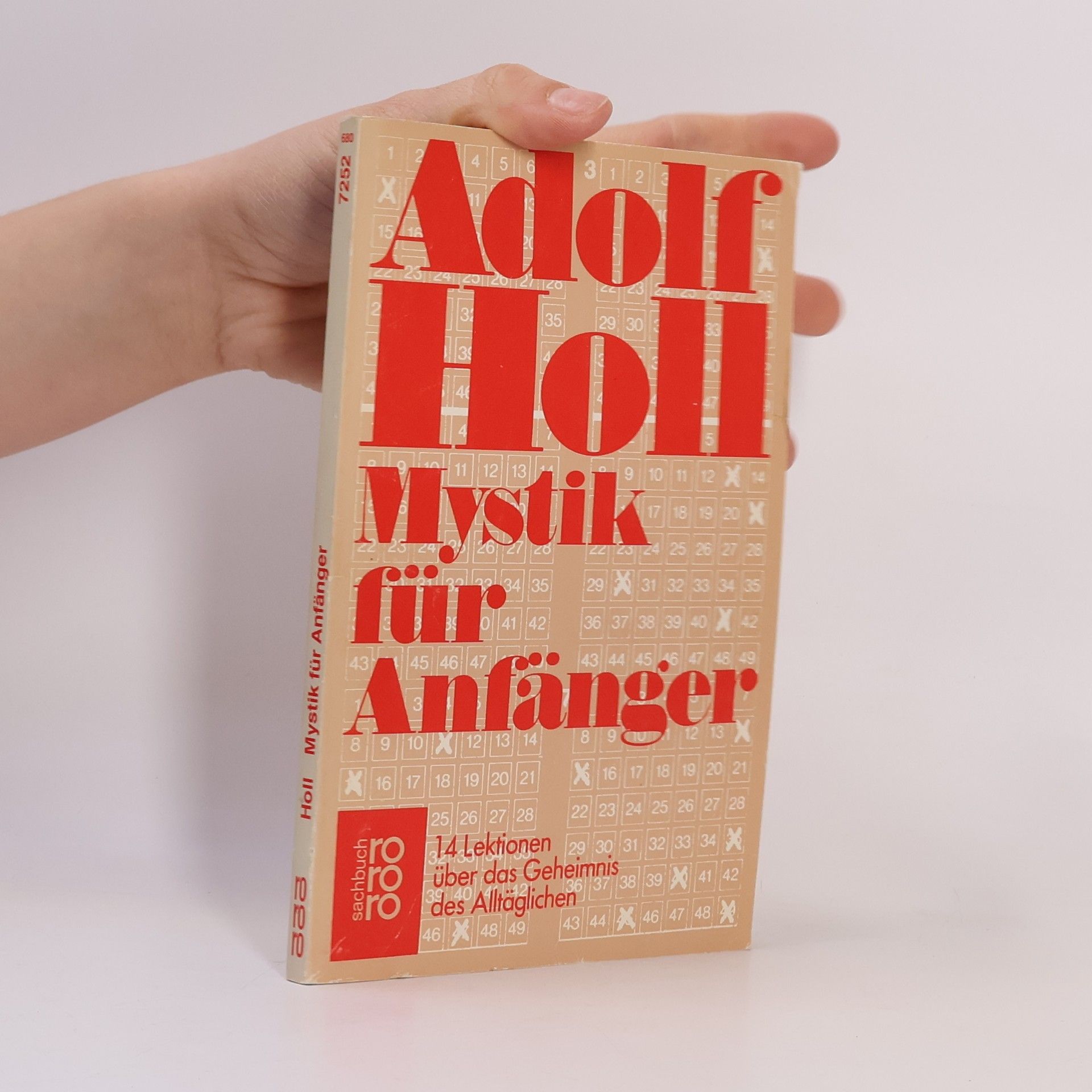 Adolf Holl Mystik für Anfänger