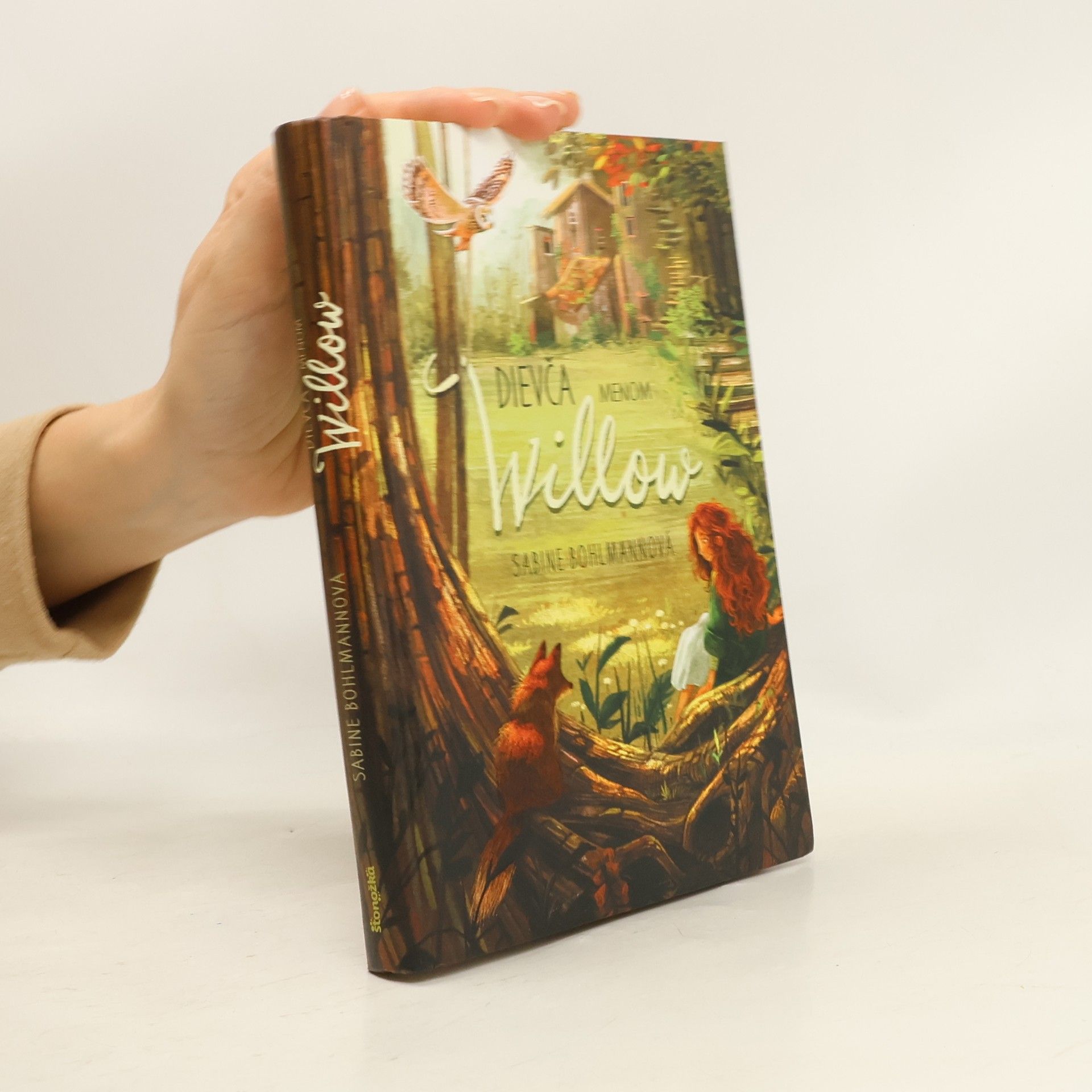 Sabine Bohlmann Dievča menom Willow