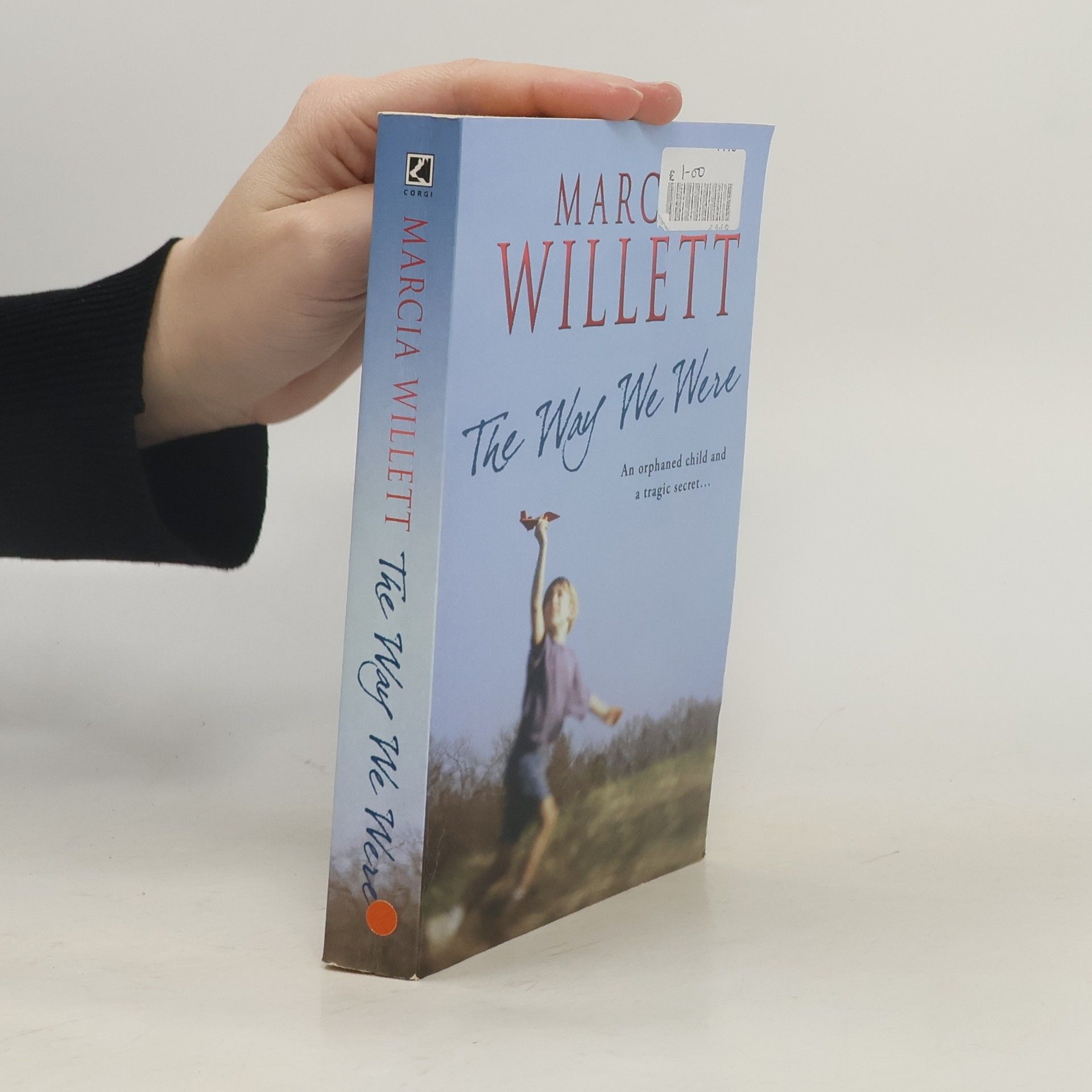 Marcia Willett The Way We Were