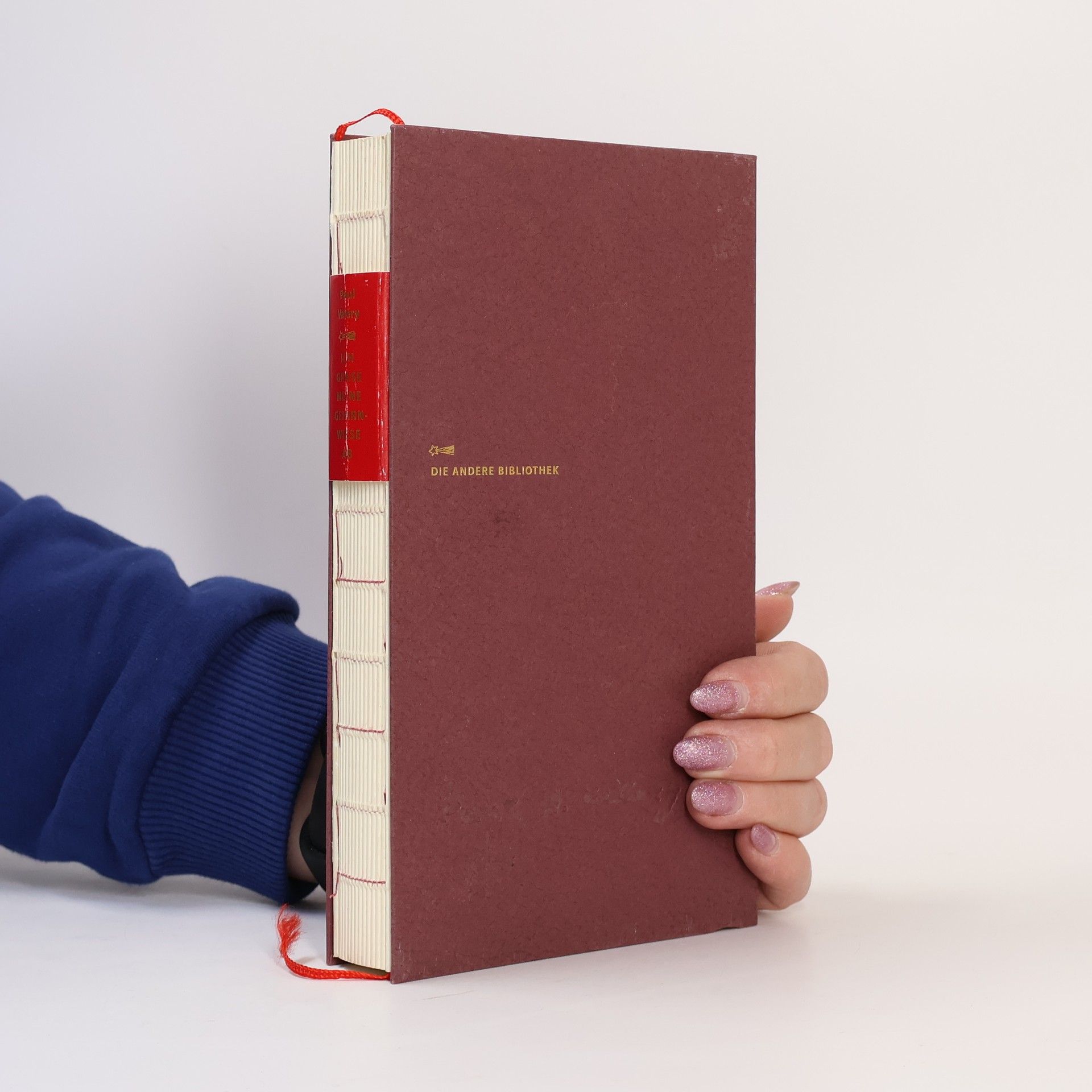 Paul Valéry Ich grase meine Gehirnwiese ab. Paul Valéry und seine verborgenen Cahiers