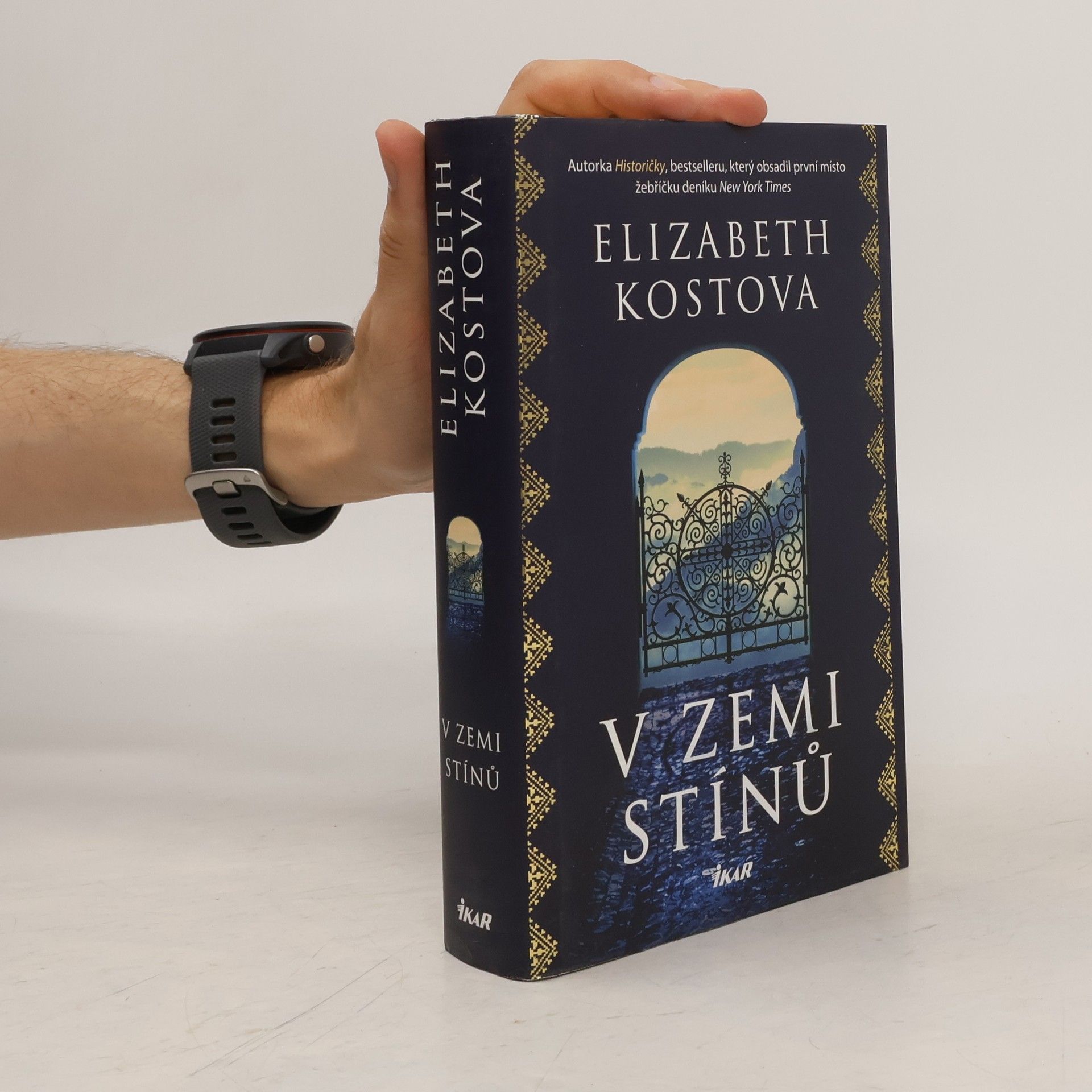 Elizabeth Kostova V zemi stínů