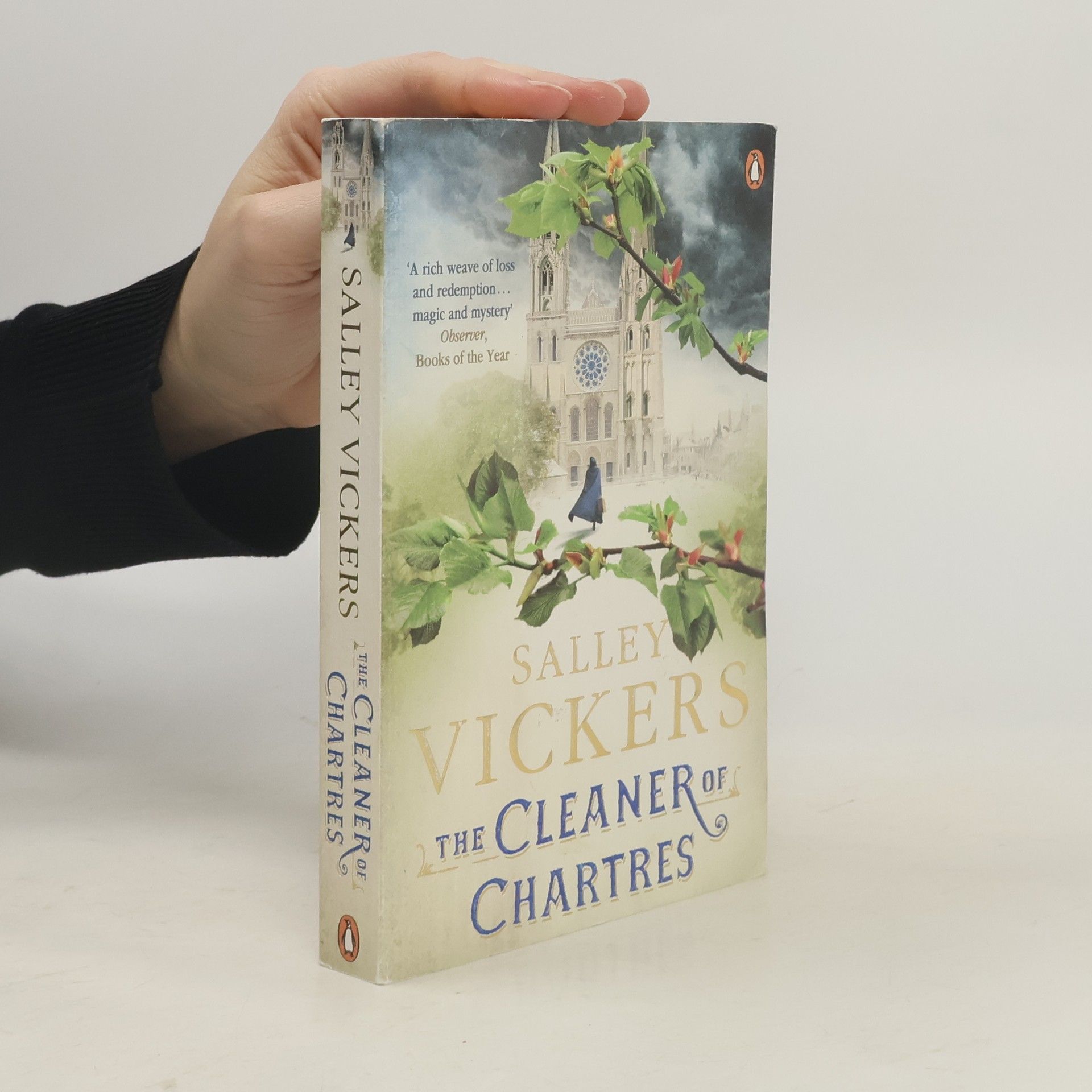 Salley Vickers The Cleaner of Chartres