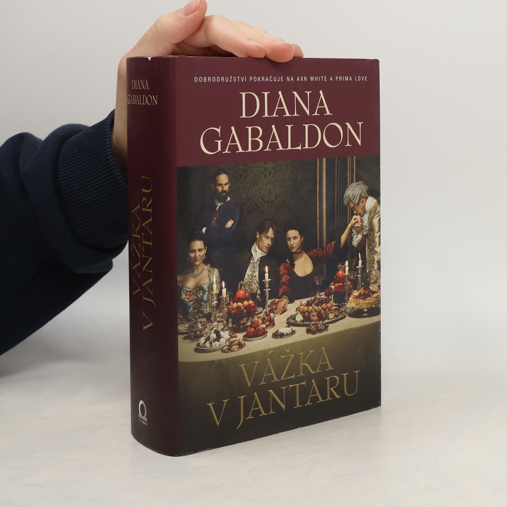 Diana Gabaldon Vážka v jantaru