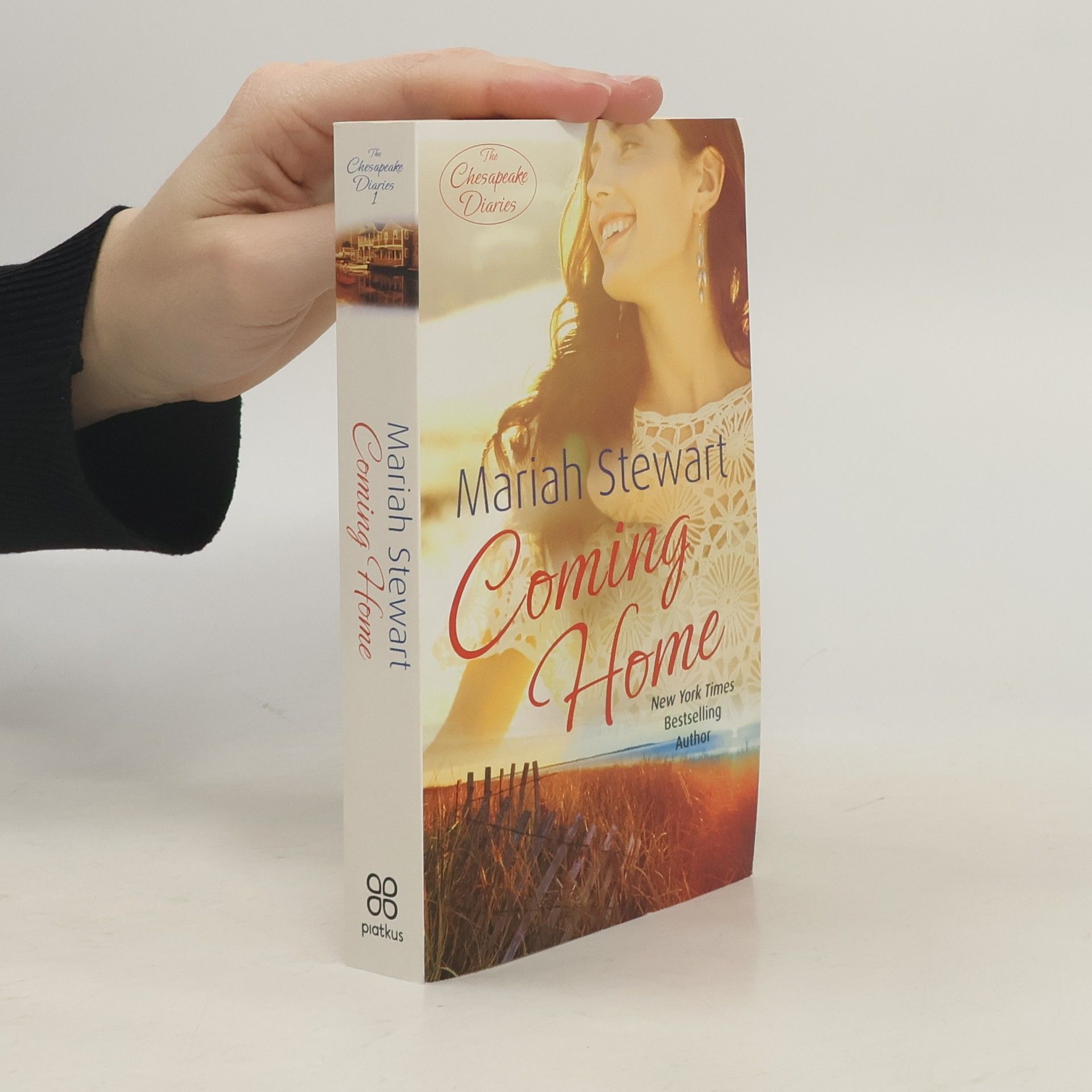 Mariah Stewart Coming Home