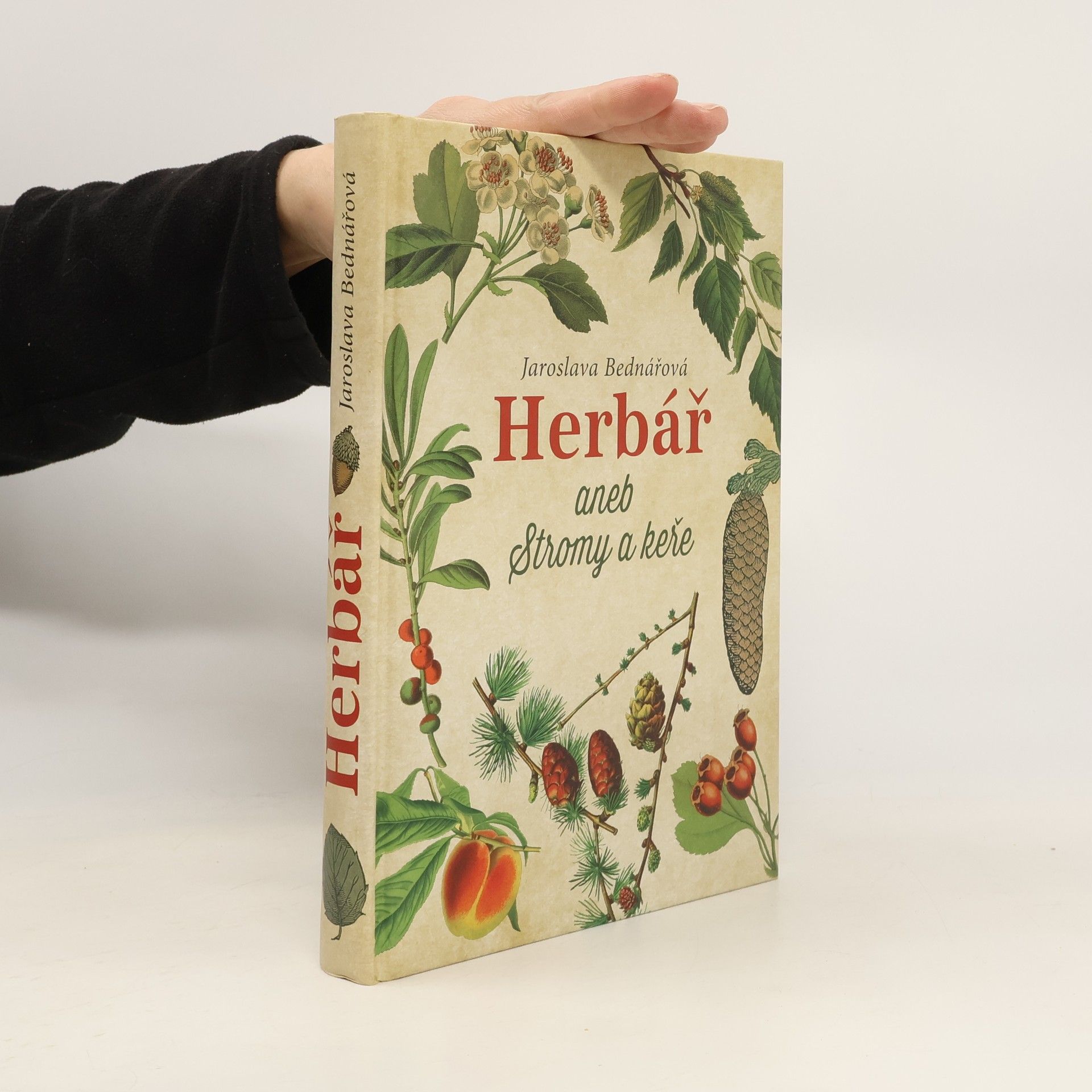 Jaroslava Bednářová Herbář aneb Stromy a keře