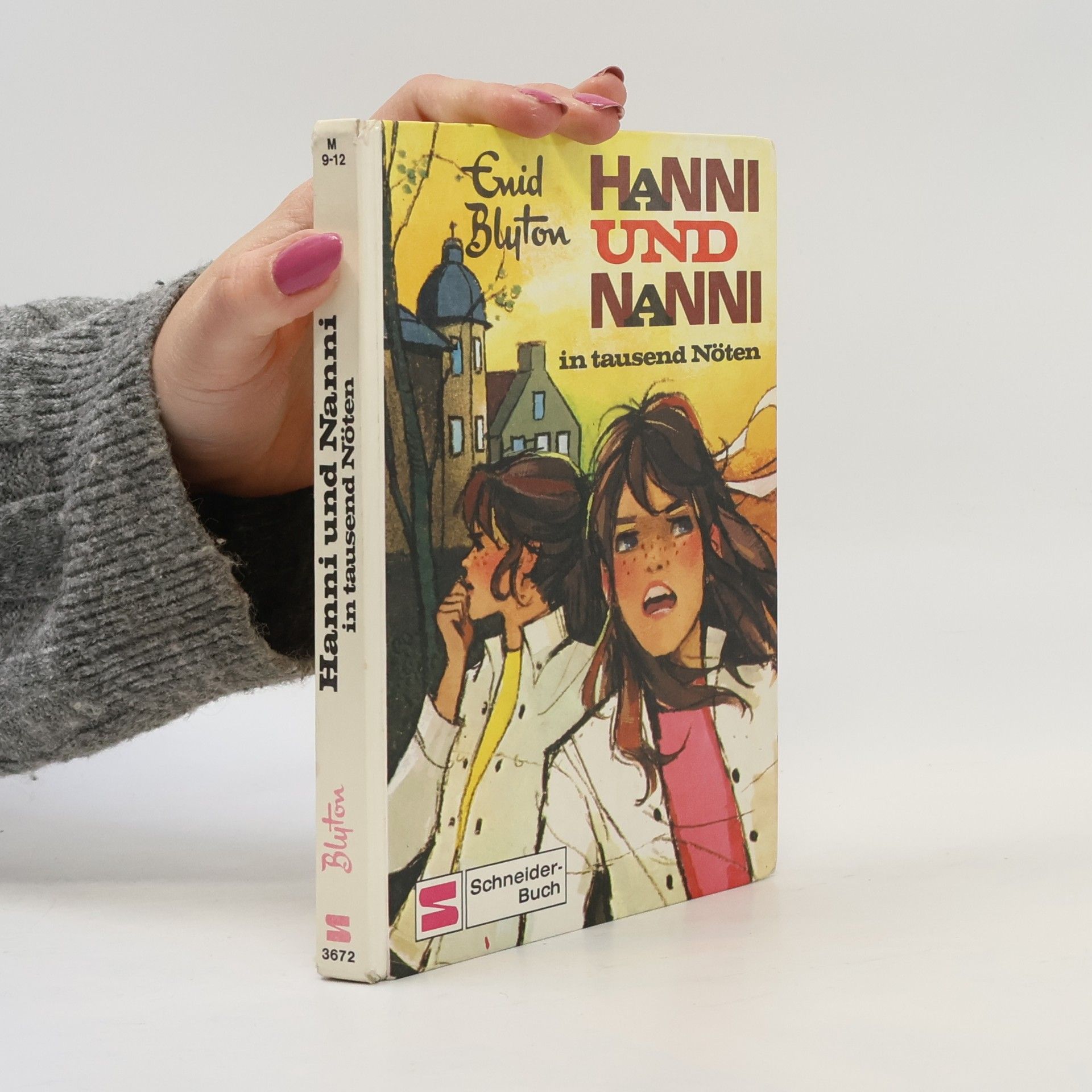 Enid Blyton Hanni und Nanni in tausend Nöten