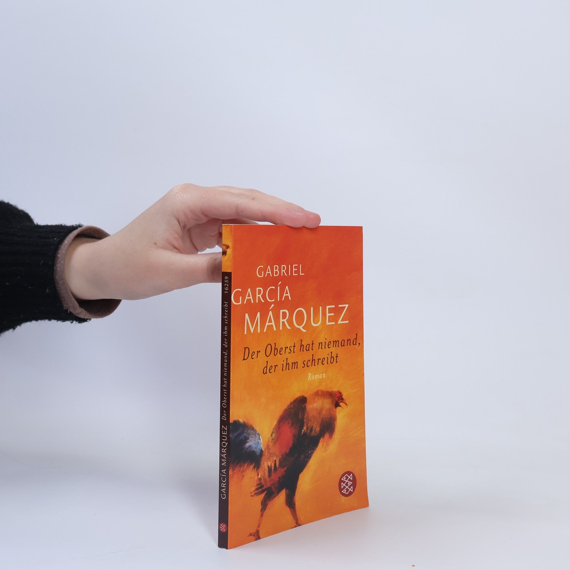 Gabriel García Márquez Der Oberst hat niemand, der ihm schreibt