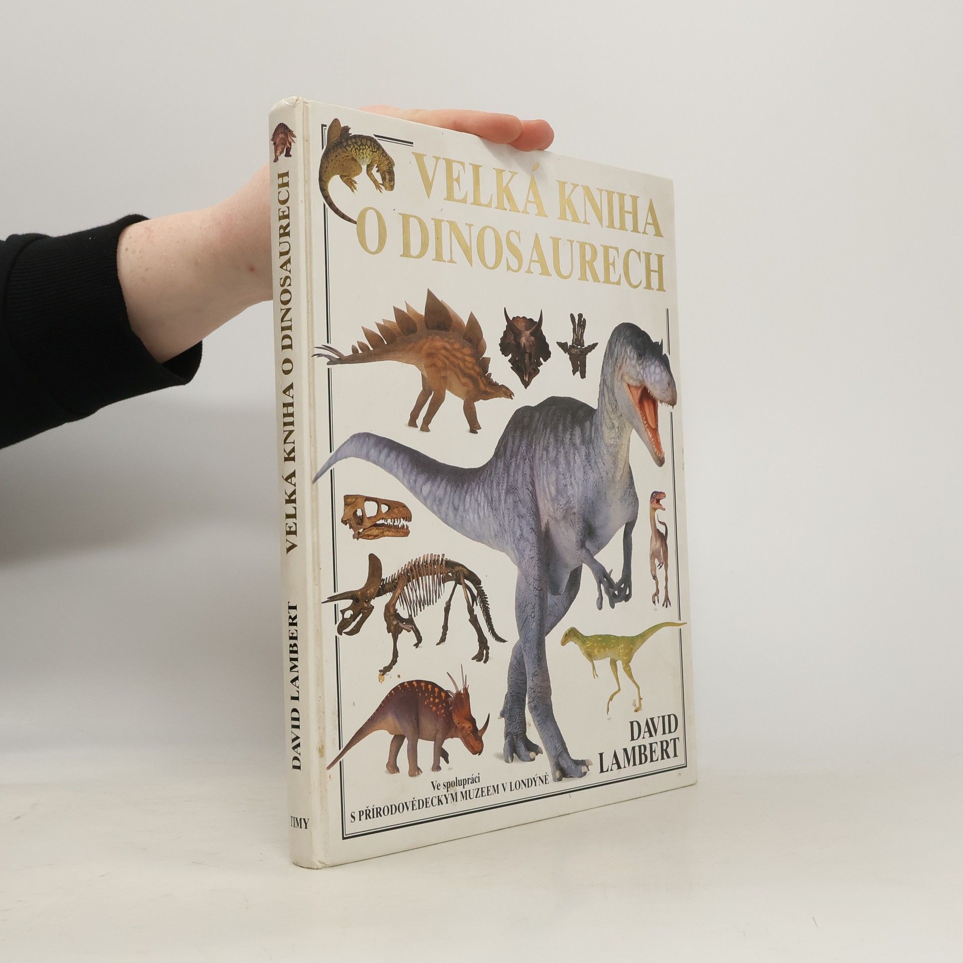 David Lambert Velká kniha o dinosaurech