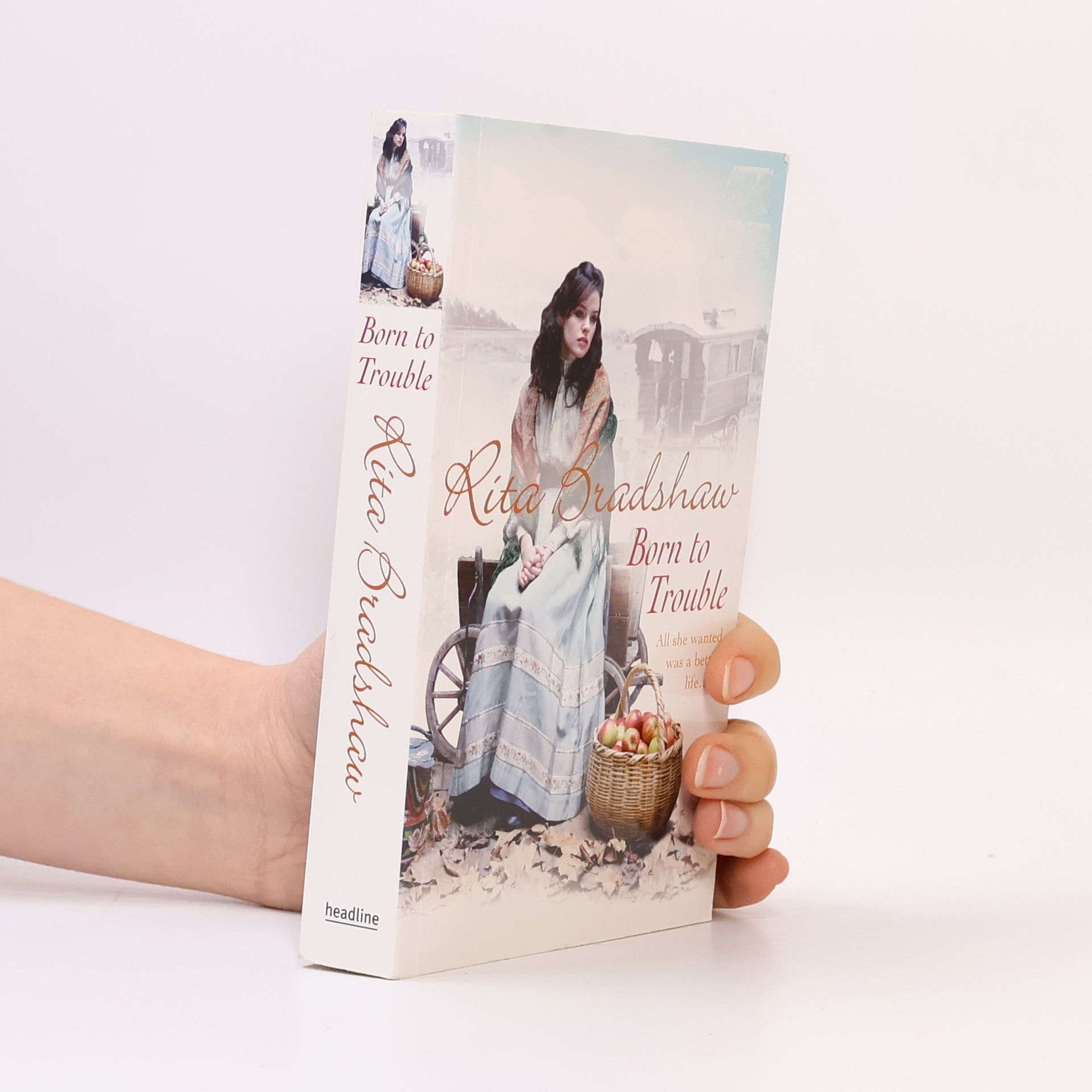 Rita Bradshaw Born to Trouble