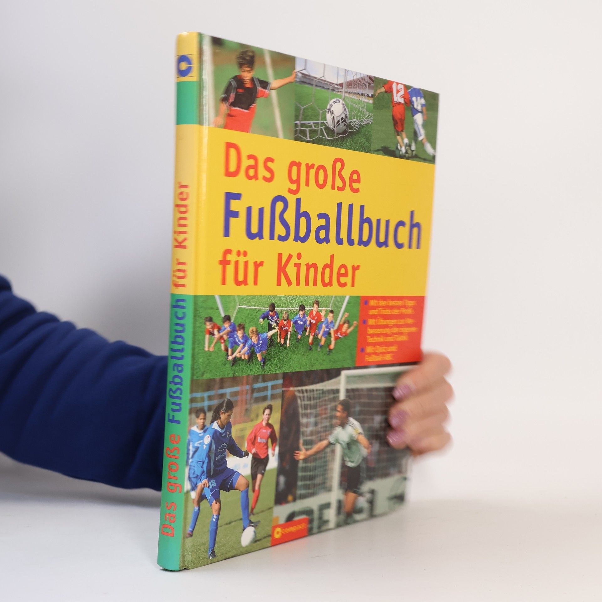 Birgit Brauburger Das große Fußballbuch für Kinder