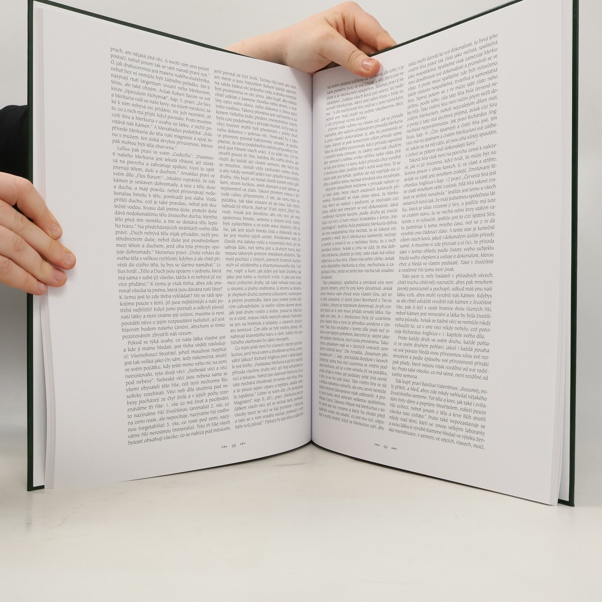 Autorenkollektiv Tajné figury Rosikruciánů ze XVI. a XVII. století