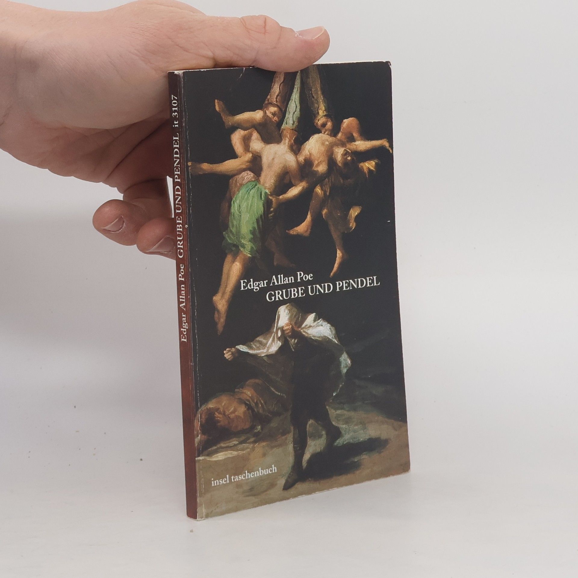 Edgar Allan Poe Insel Taschenbuch - 3107: Grube und Pendel und andere Erzählungen