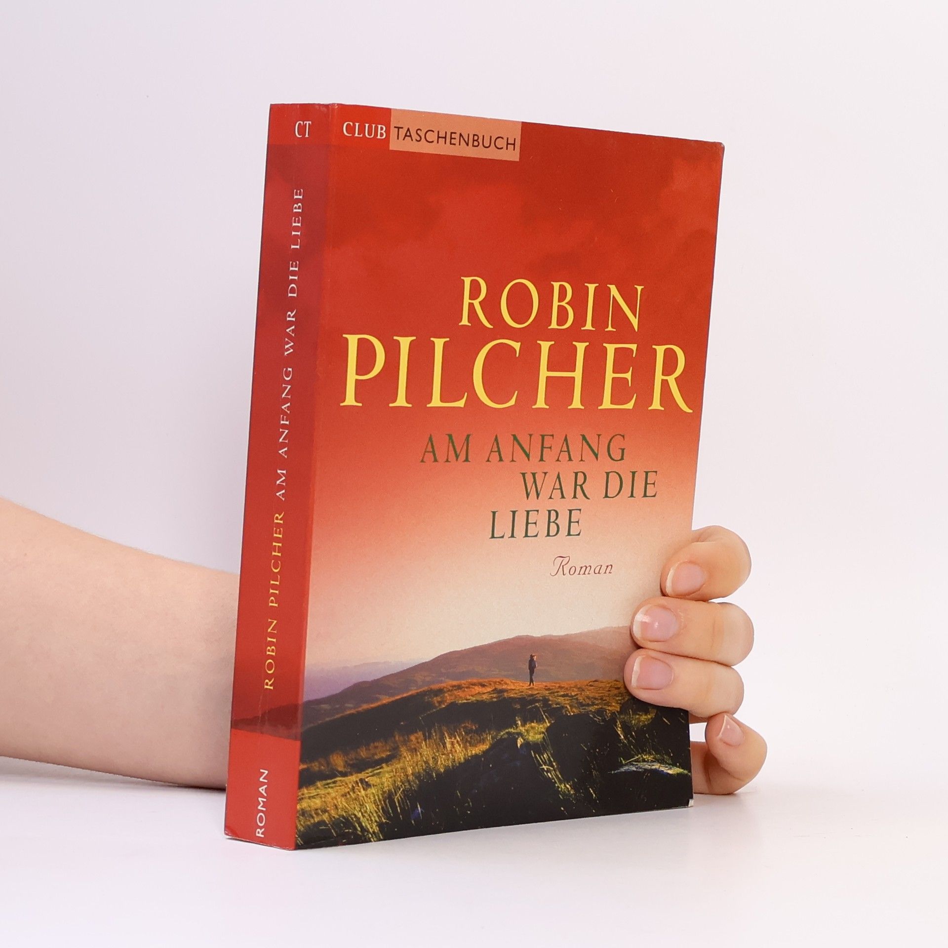 Robin Pilcher Am Anfang war die Liebe