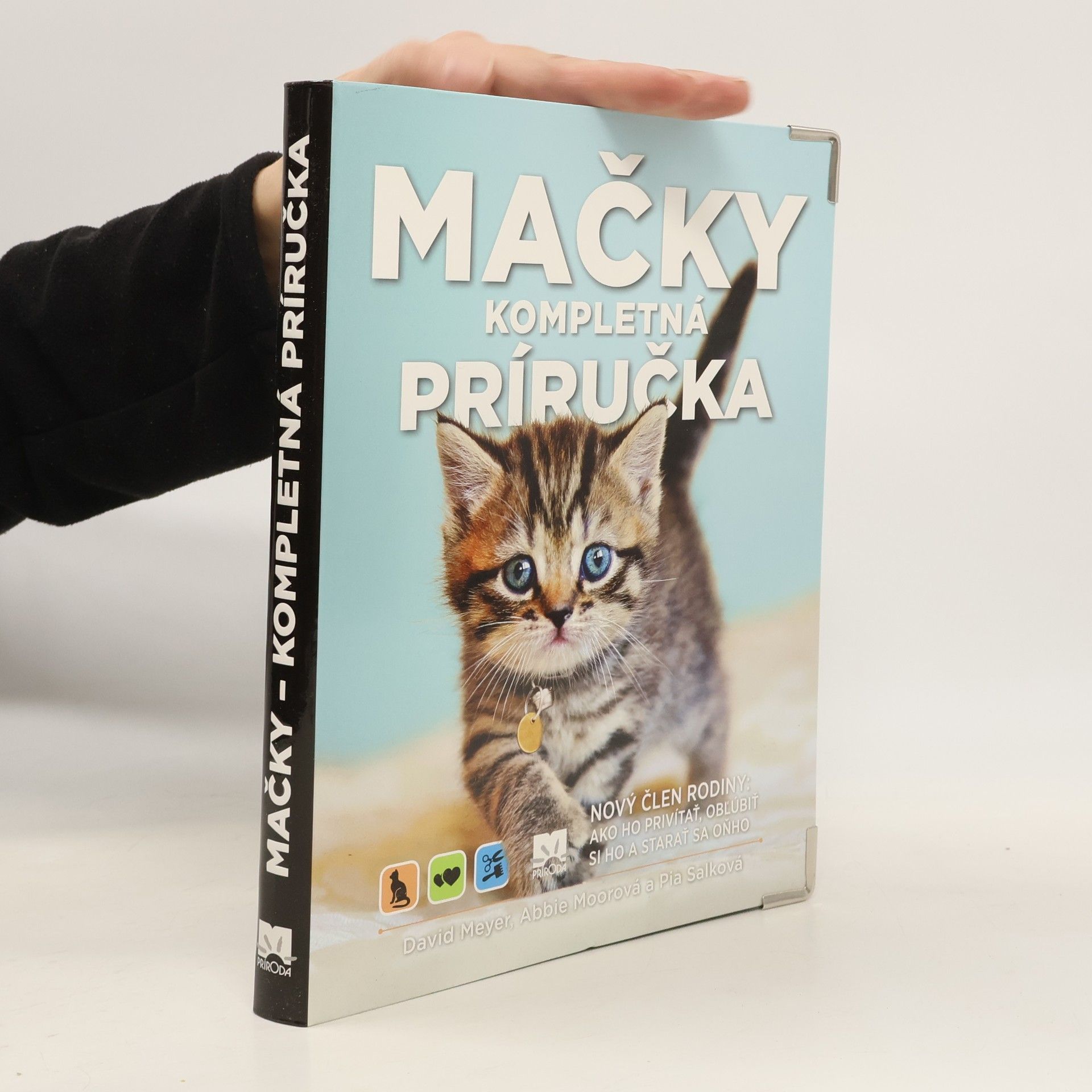 Autorenkollektiv Mačky kompletná príručka