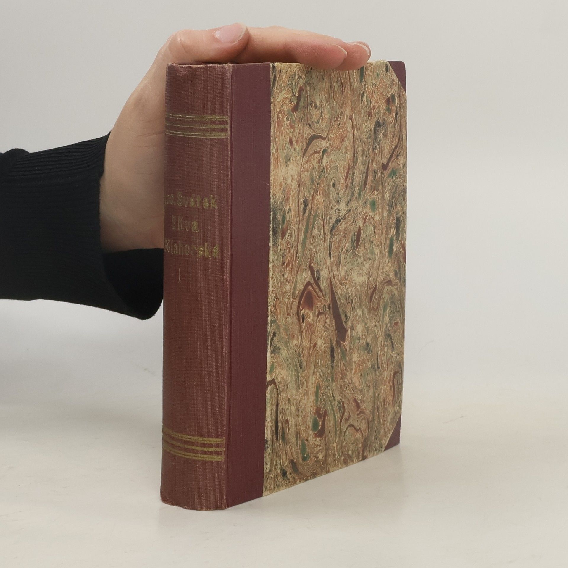 Josef Svátek Bitva Bělohorská