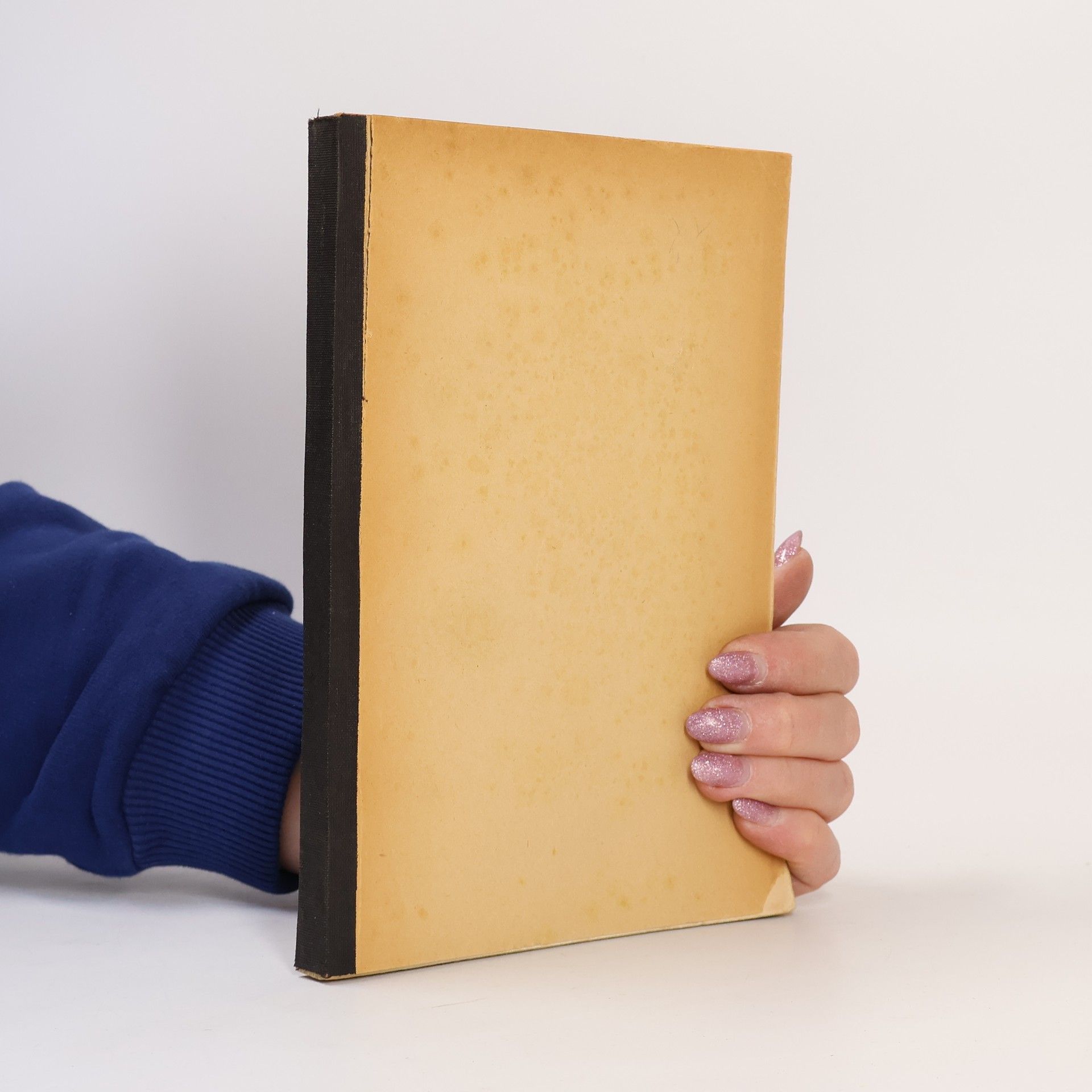 Flora Schwarz Die Familien Jung-Stilling-Schwarz in vier Generationen