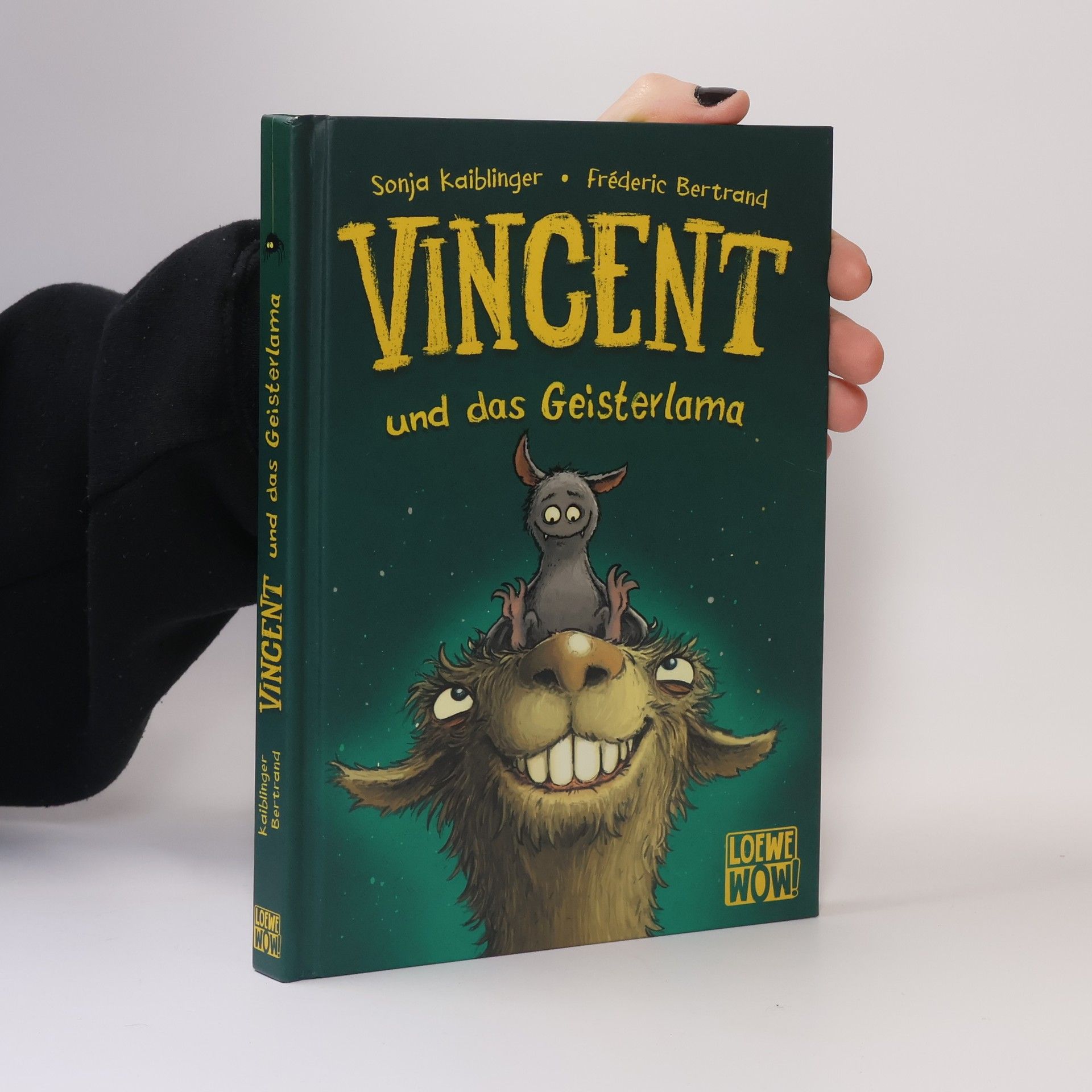 Sonja Kaiblinger Vincent und das Geisterlama