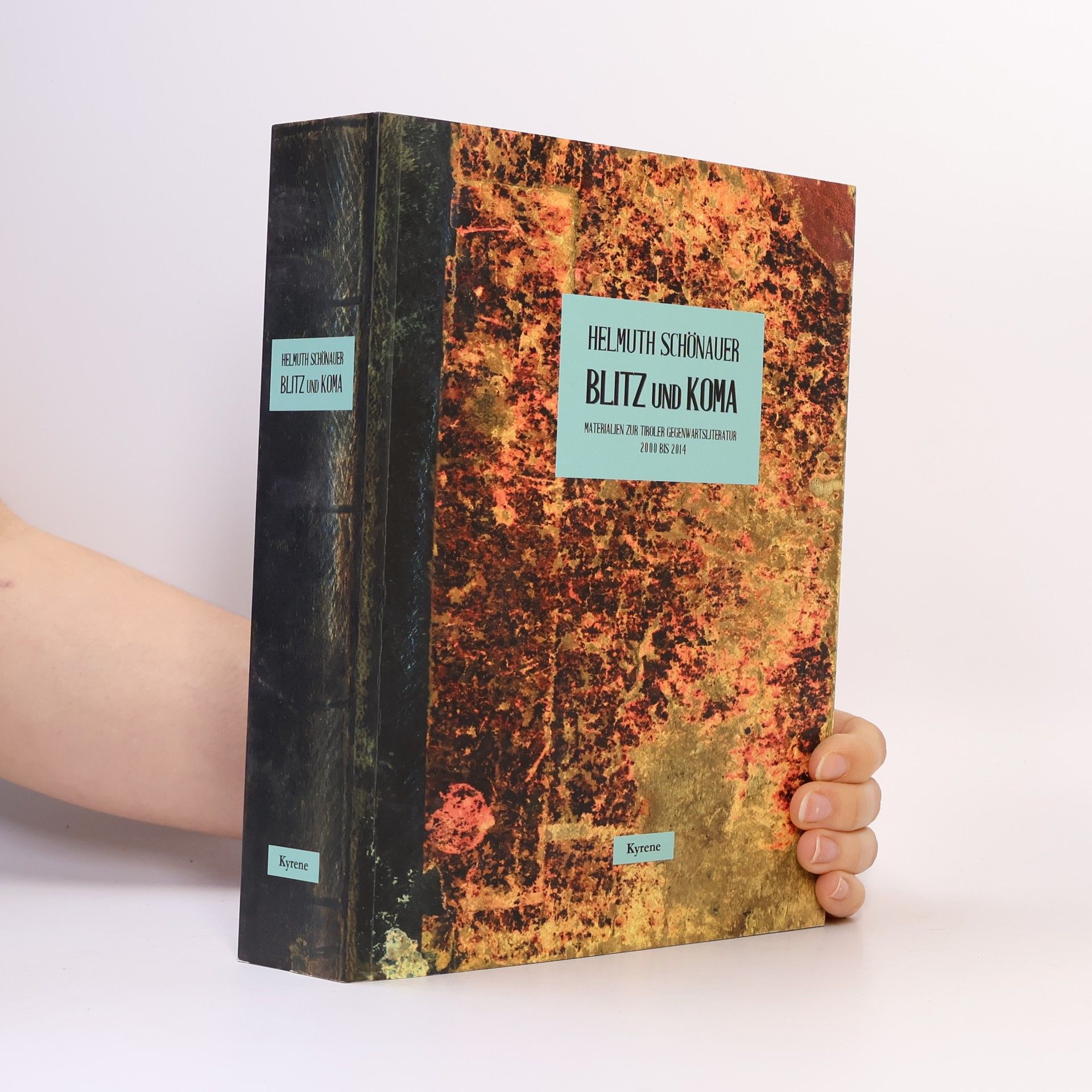 Helmuth Schönauer Blitz und Koma