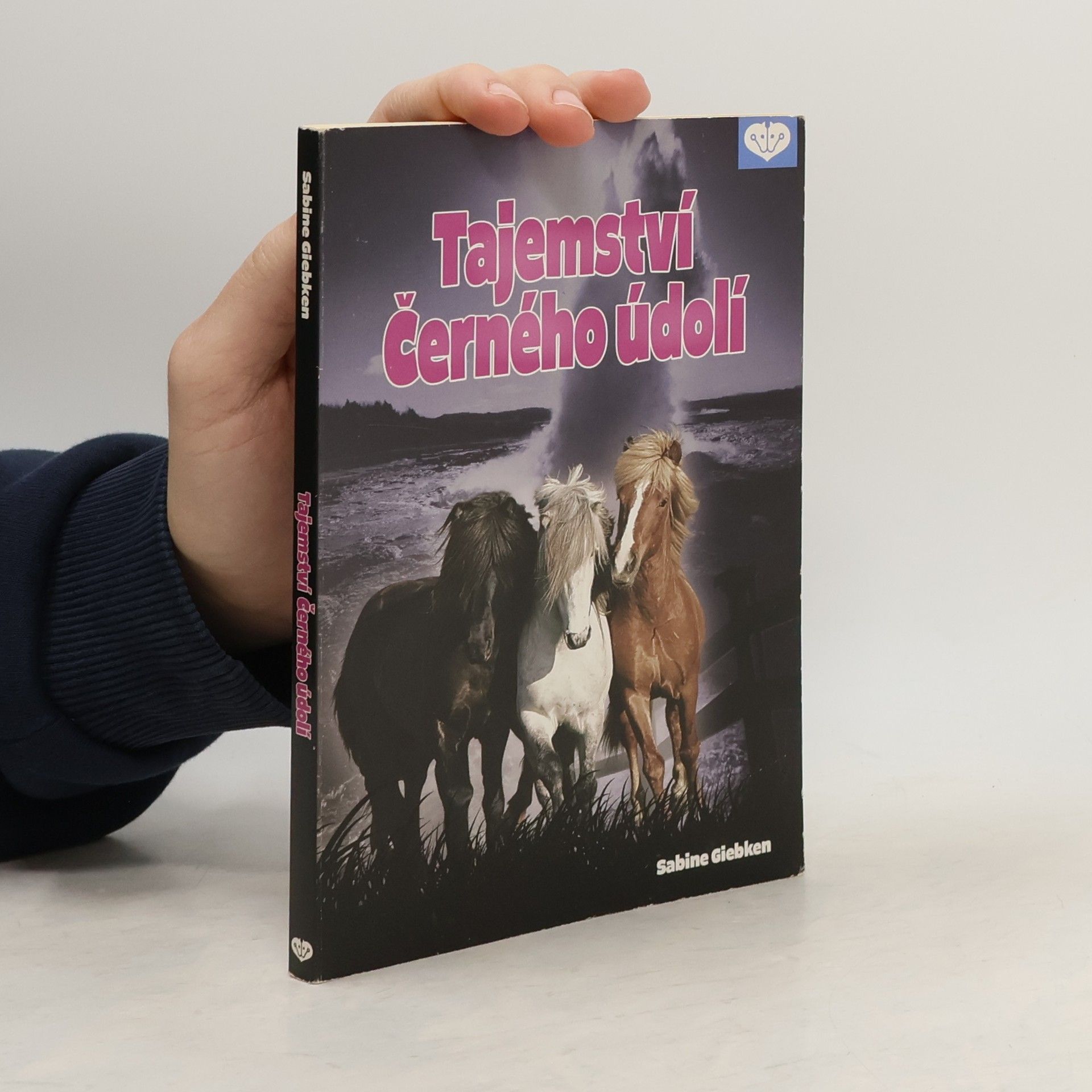 Sabine Giebken Tajemství Černého údolí