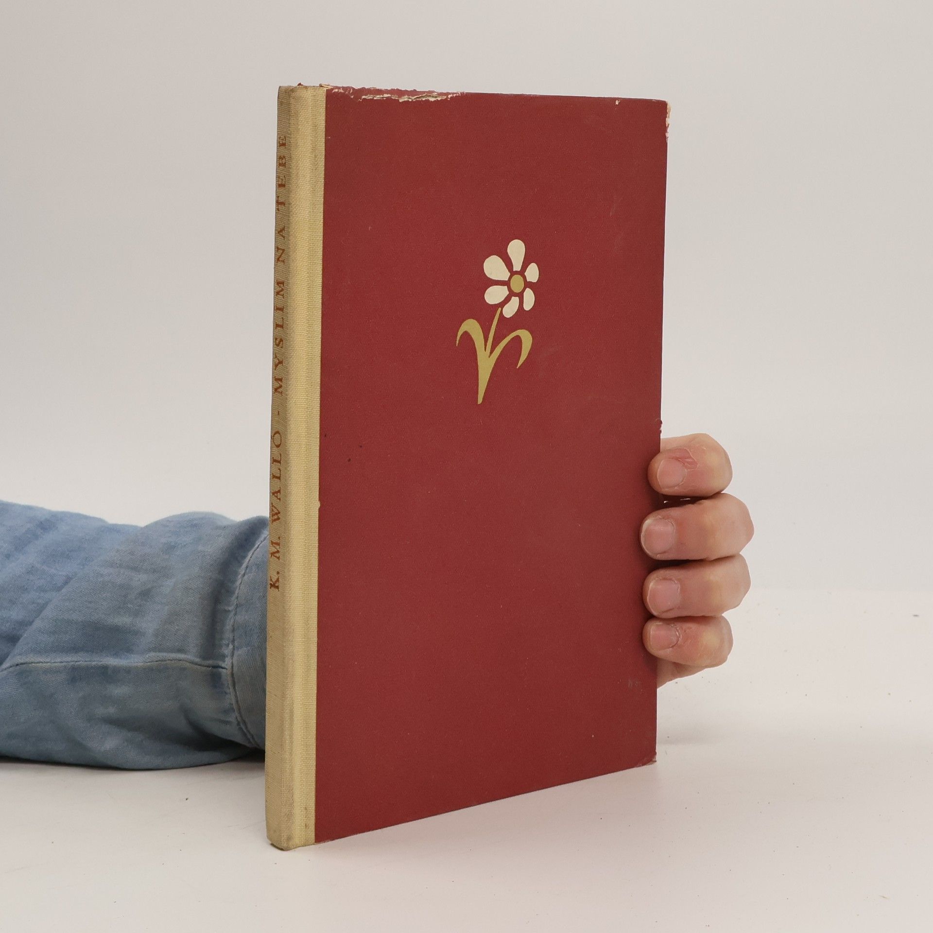 K. M. Walló Myslím na tebe