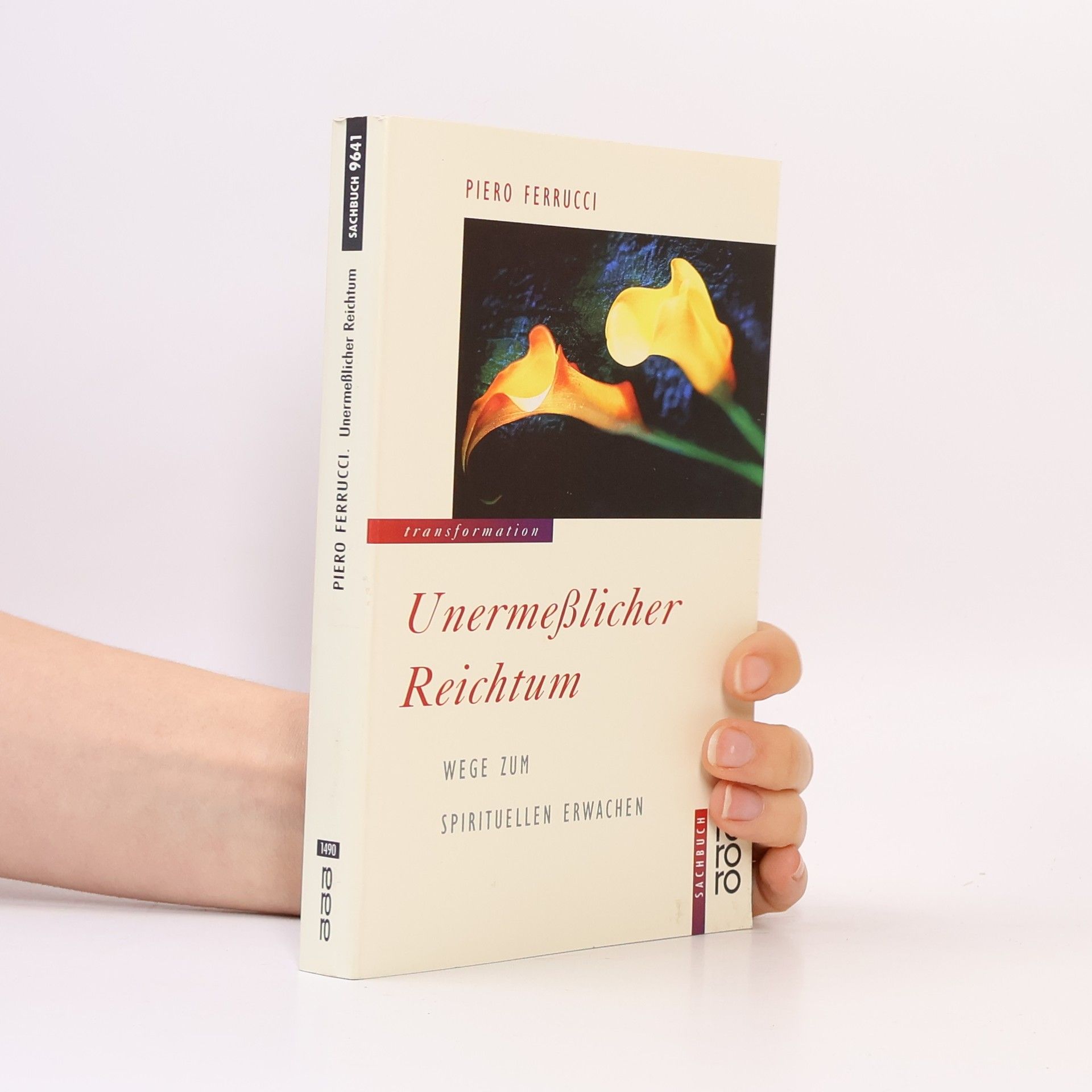 Piero Ferrucci Unermesslicher Reichtum