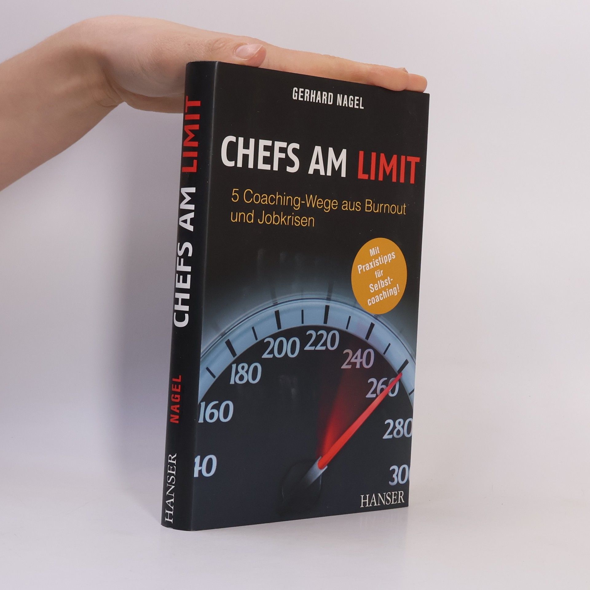 Gerhard Nagel Chefs am Limit