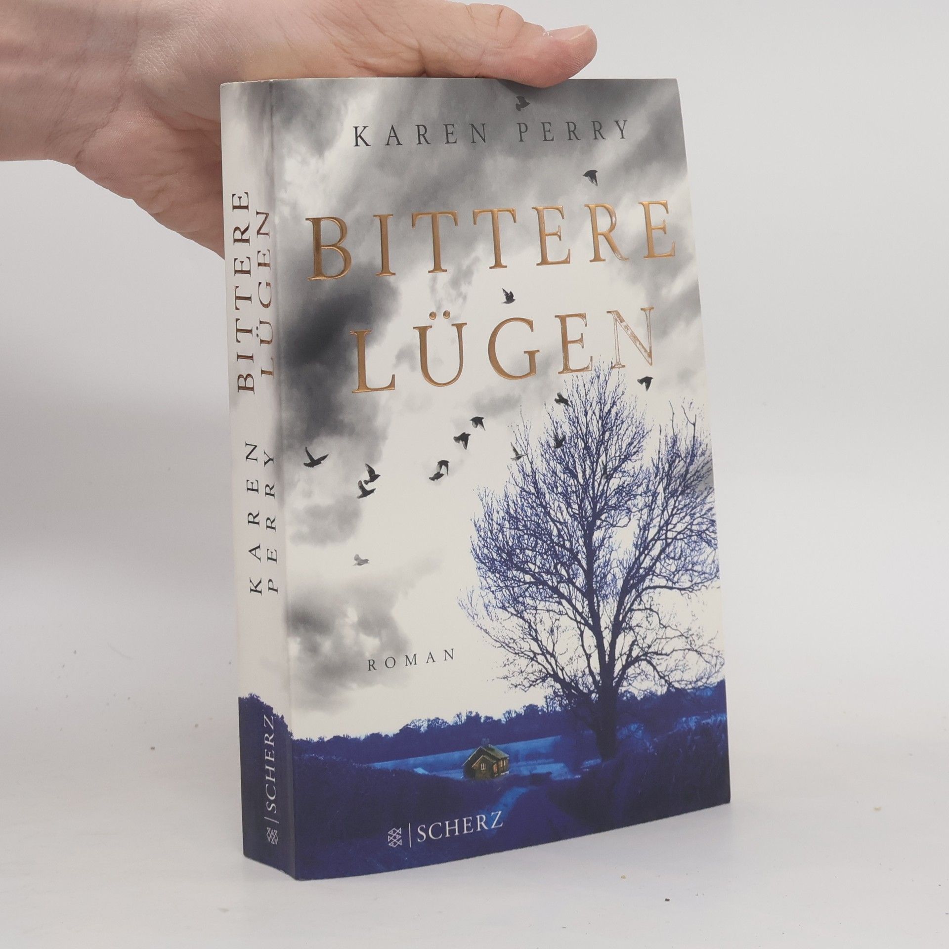 Karen Perry Bittere Lügen