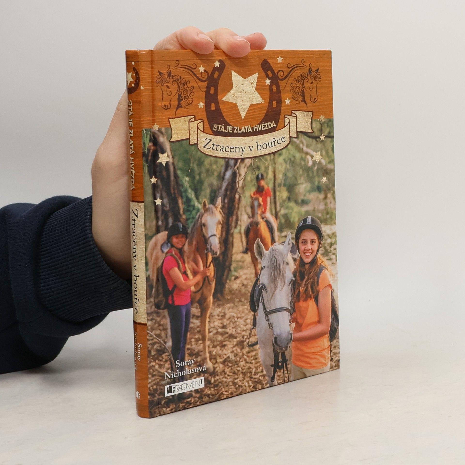 Soray Nicholas Ztraceny v bouřce