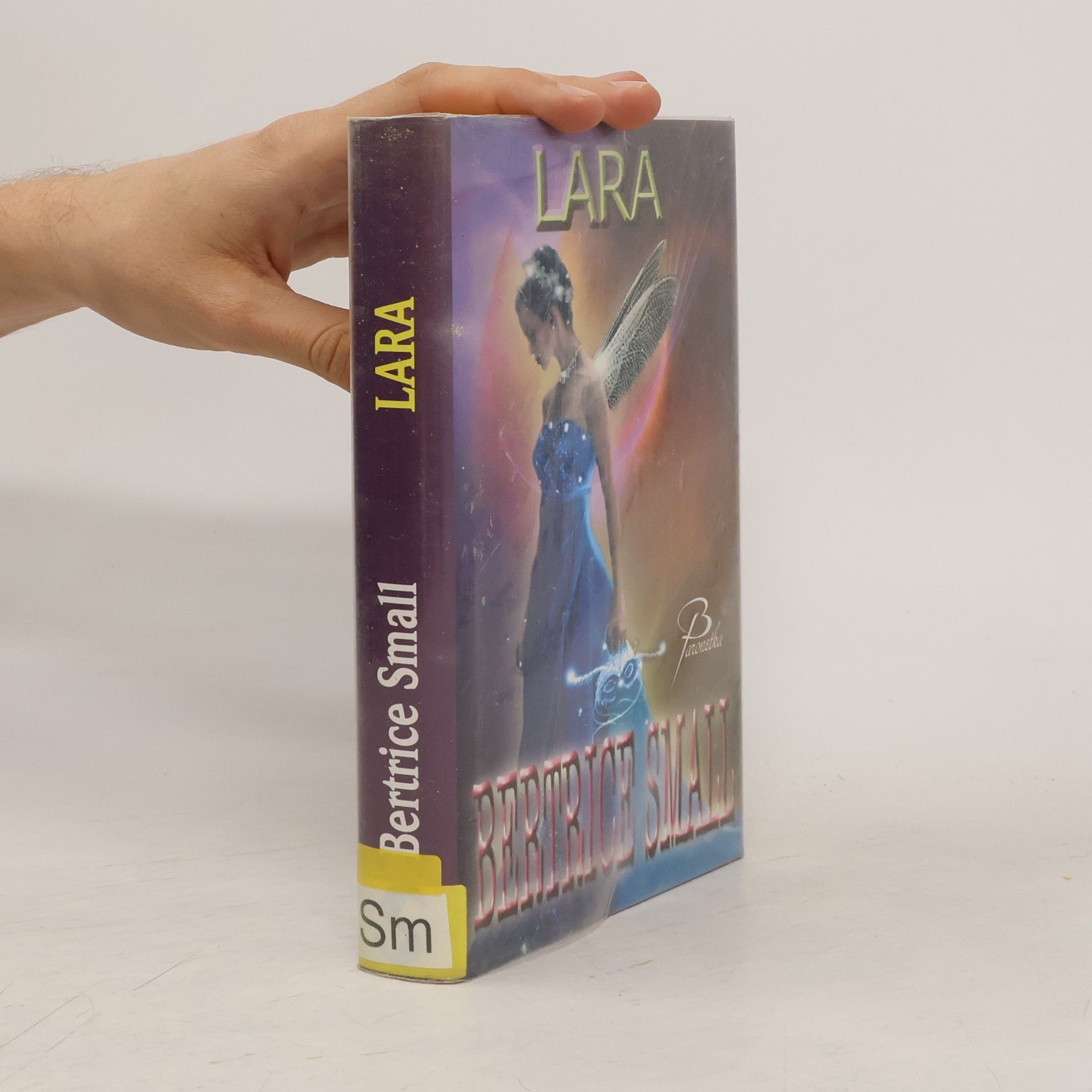 Bertrice Small Svět Hetar. Kniha 1, Lara