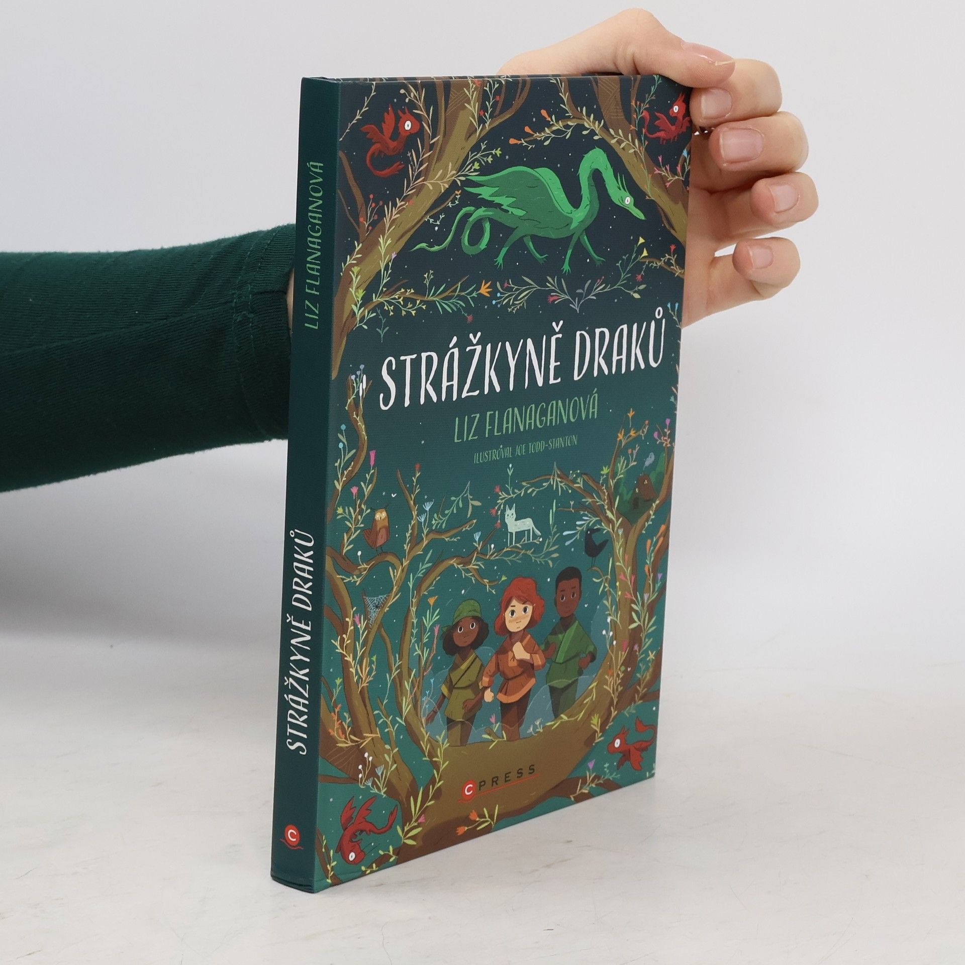 Joe Todd-Stanton Strážkyně draků