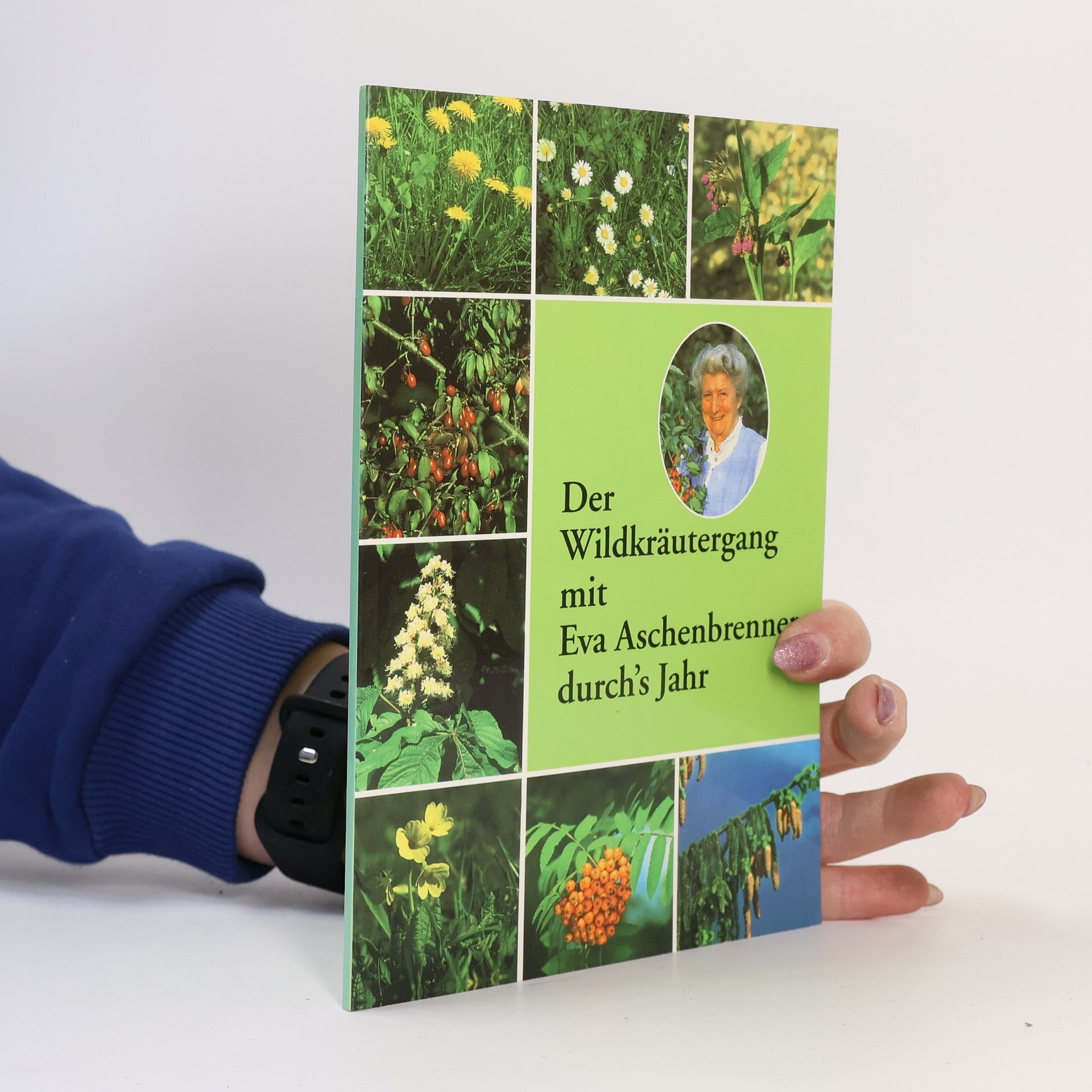 Eva Aschenbrenner Der Wildkräutergang mit Eva Aschenbrenner durch's Jahr