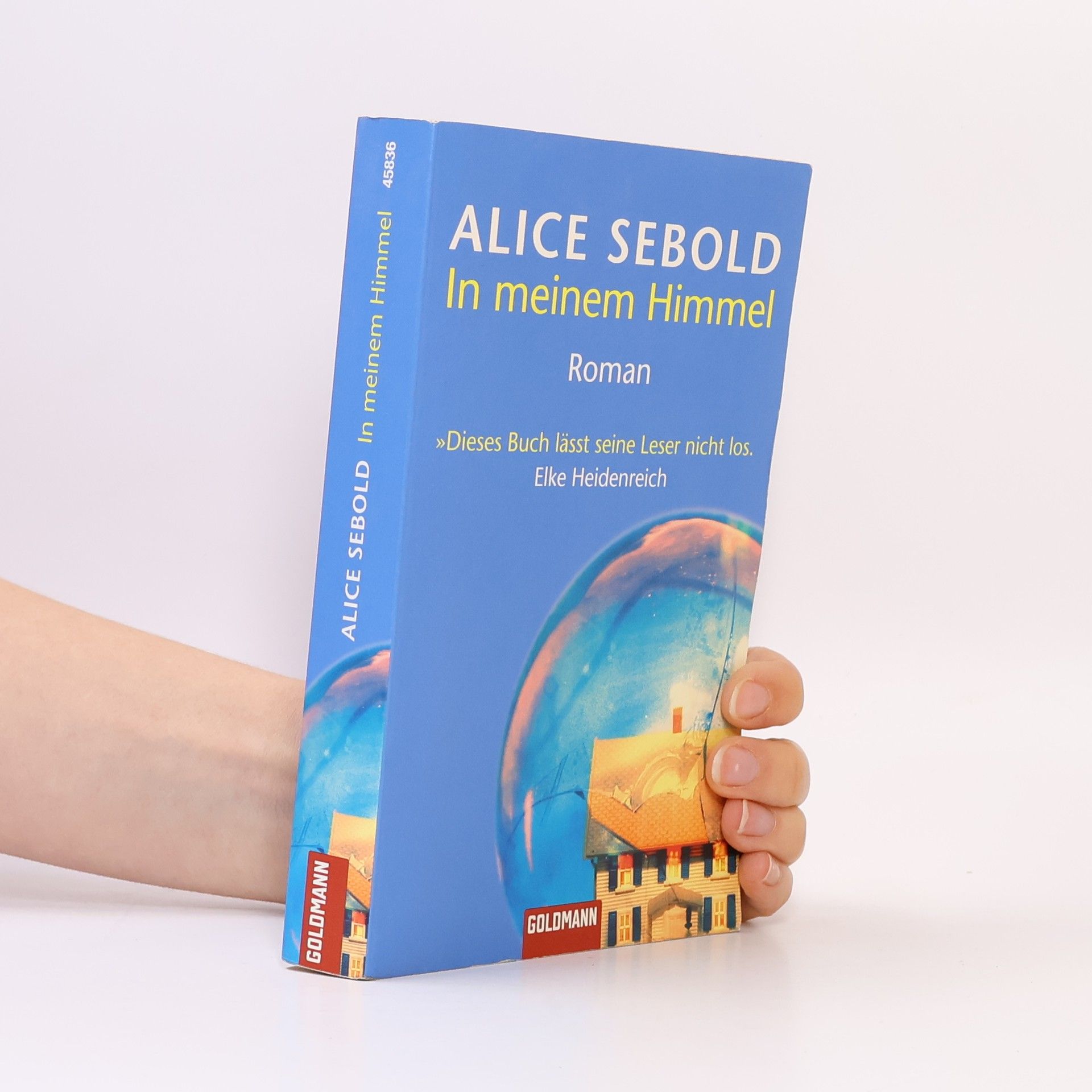 Alice Sebold In meinem Himmel