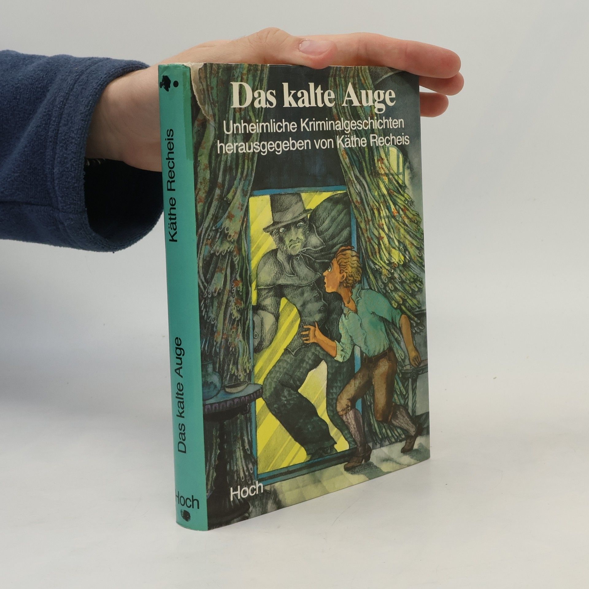 Käthe Recheis Das kalte Auge
