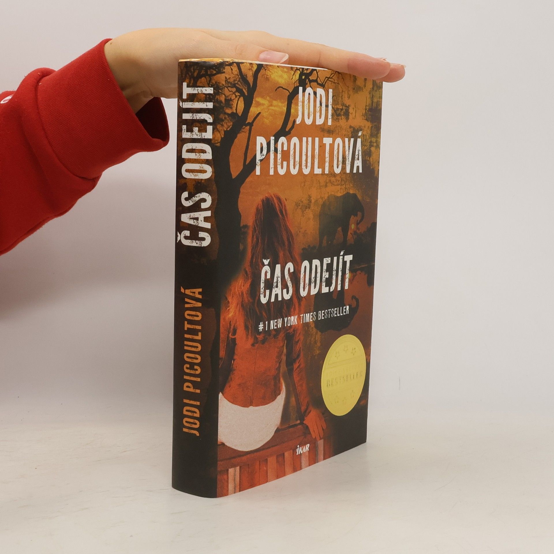 Jodi Picoult Čas odejít