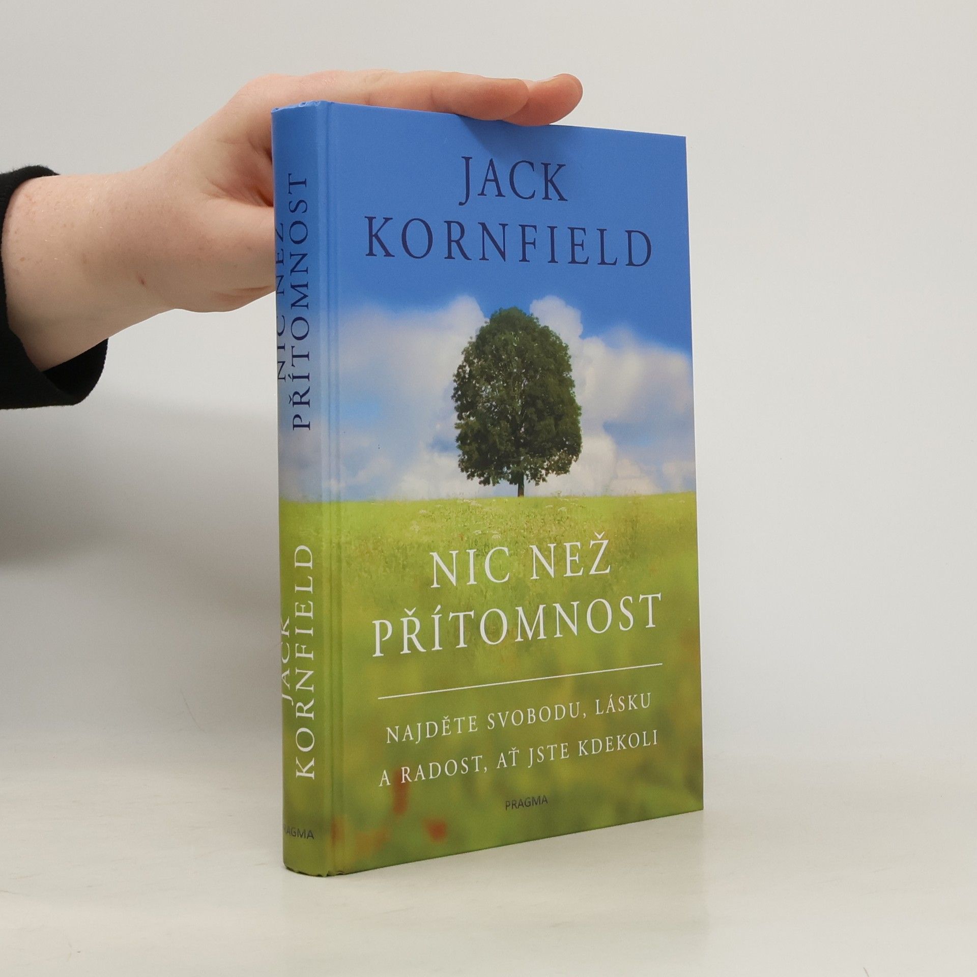 Jack Kornfield Nic než přítomnost