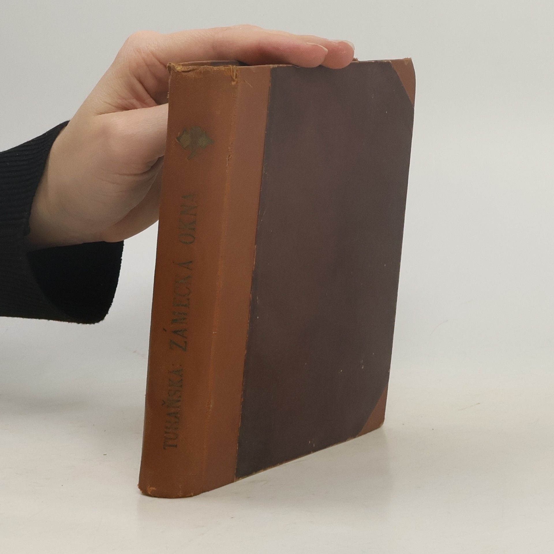 Jiřina Tuhaňská Zámecká okna