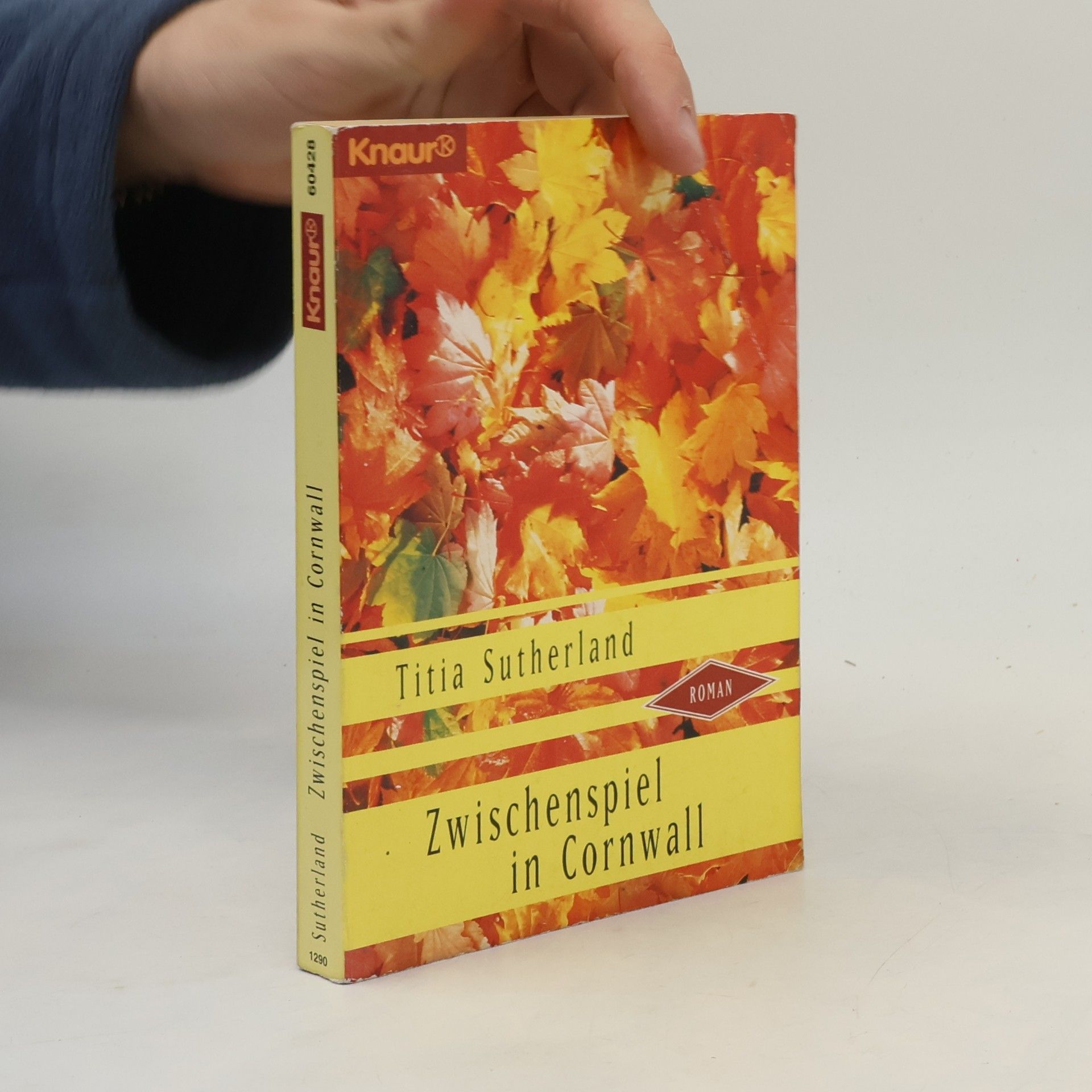 Titia Sutherland Zwischenspiel in Cornwall. Roman