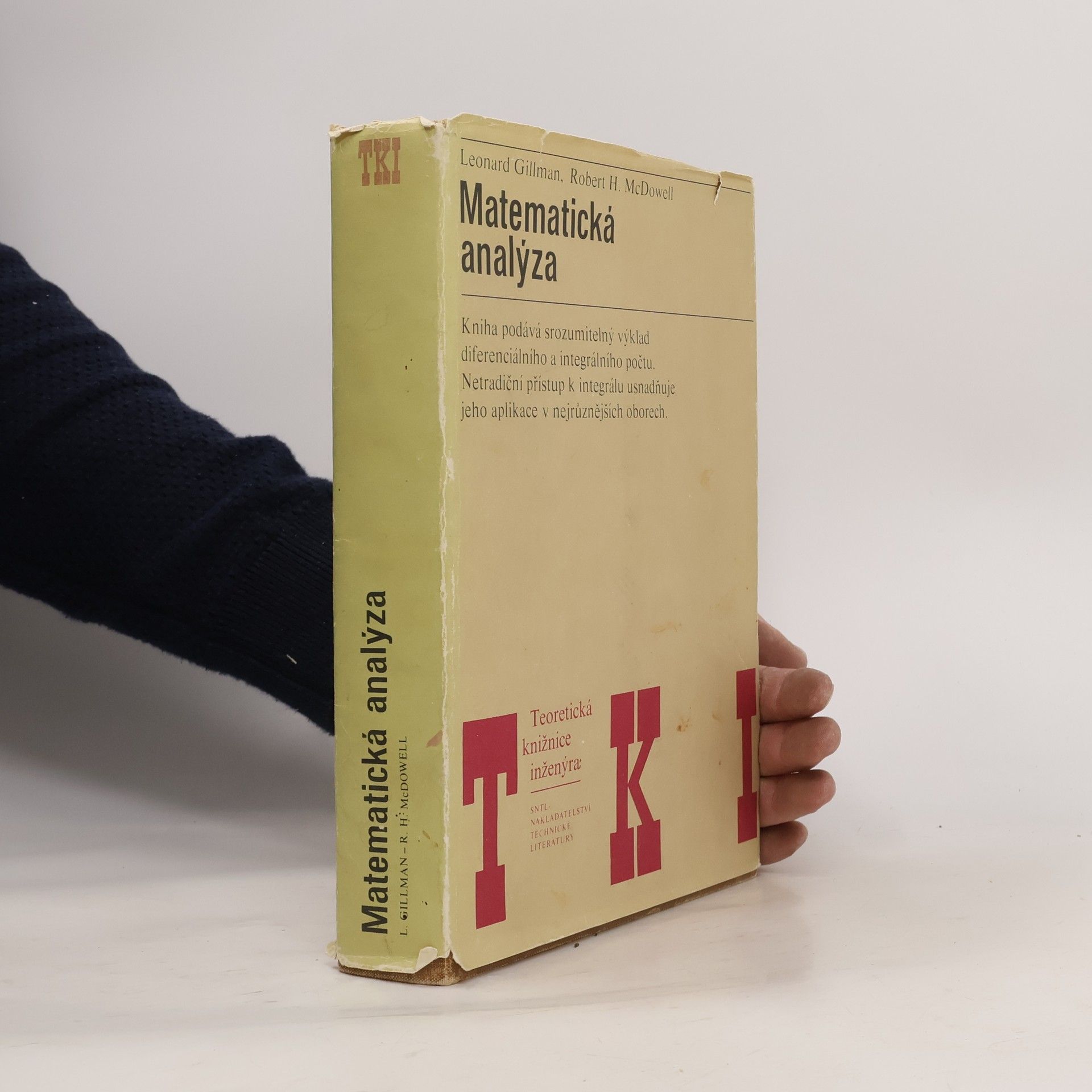 Leonard Gillman Matematická analýza