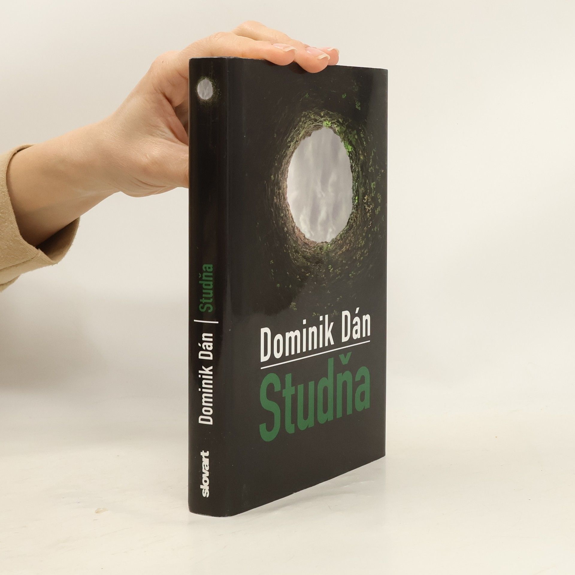 Dominik Dán Studňa