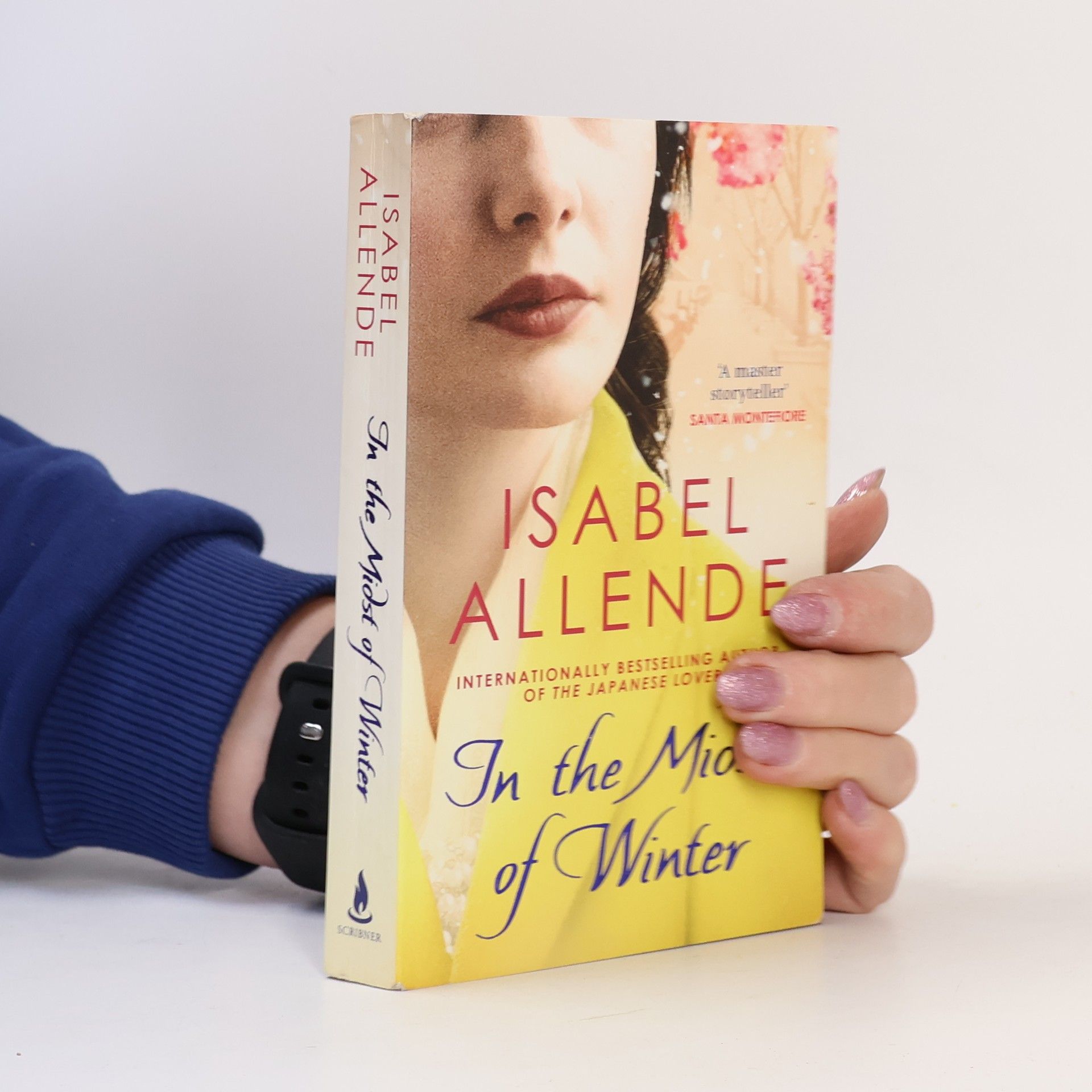 Isabel Allende In the Midst of Winter