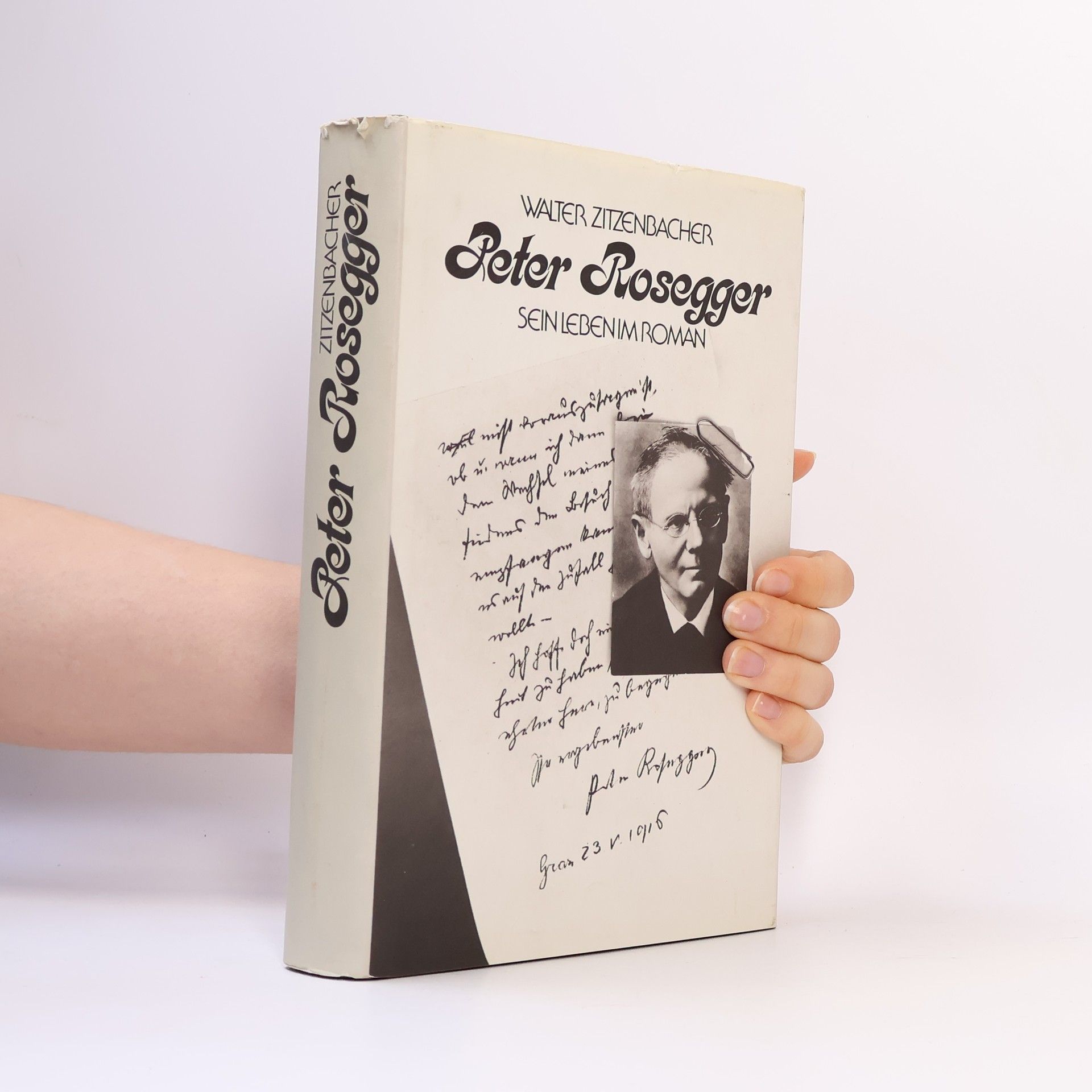 Peter Rosegger. Sein Leben im Roman