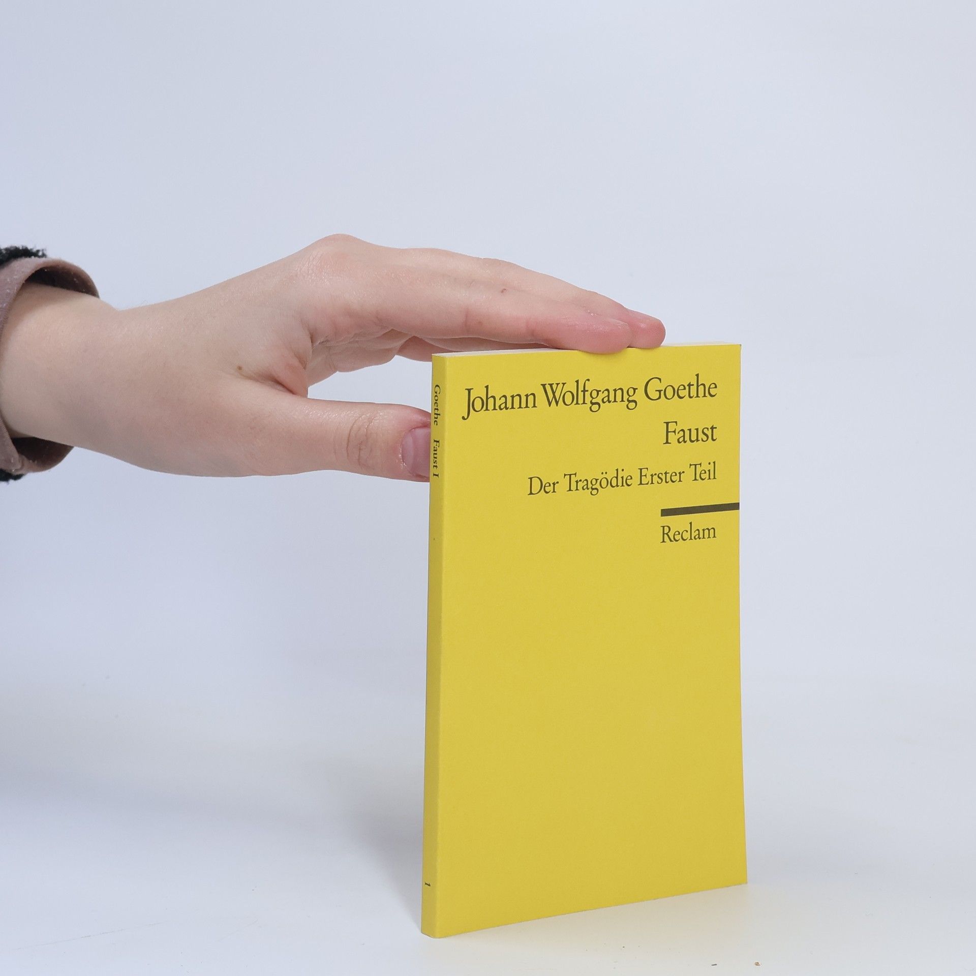 Johann Wolfgang von Goethe Faust : der Tragödie Erster teil