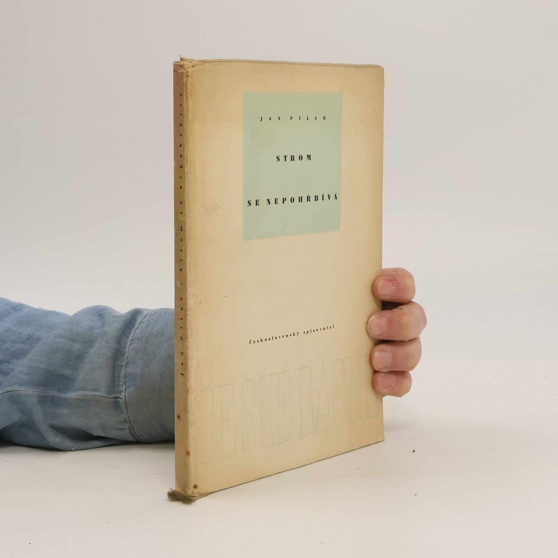 Jan Pilař Strom se nepohřbívá