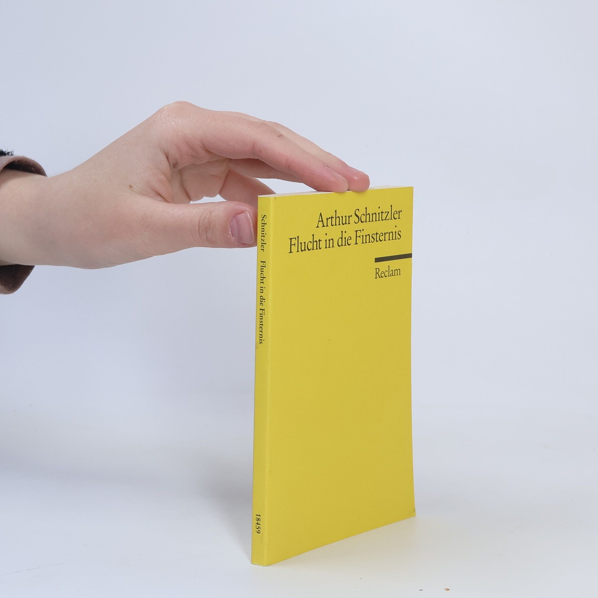 Arthur Schnitzler Flucht in die Finsternis