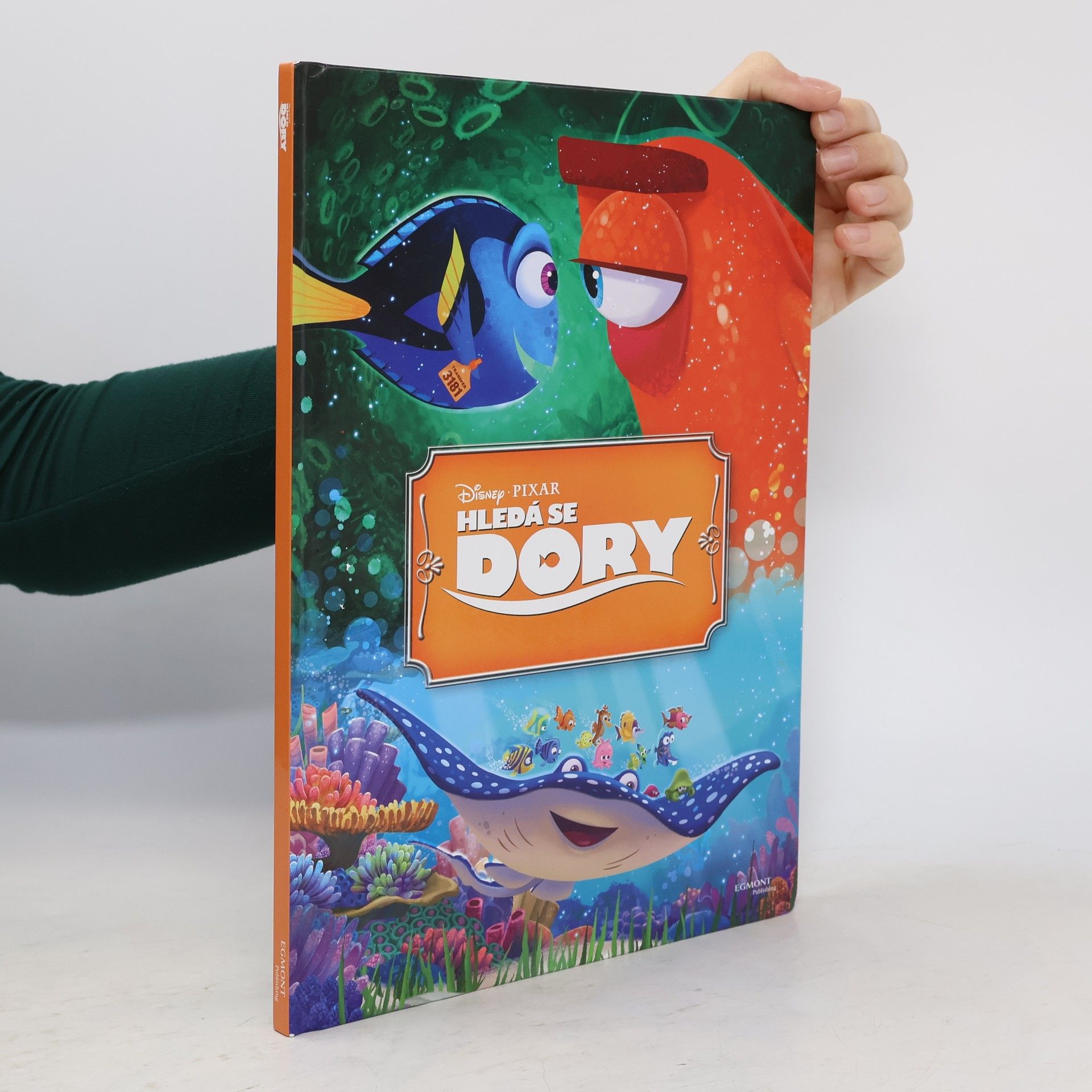 kolektiv Hledá se Dory