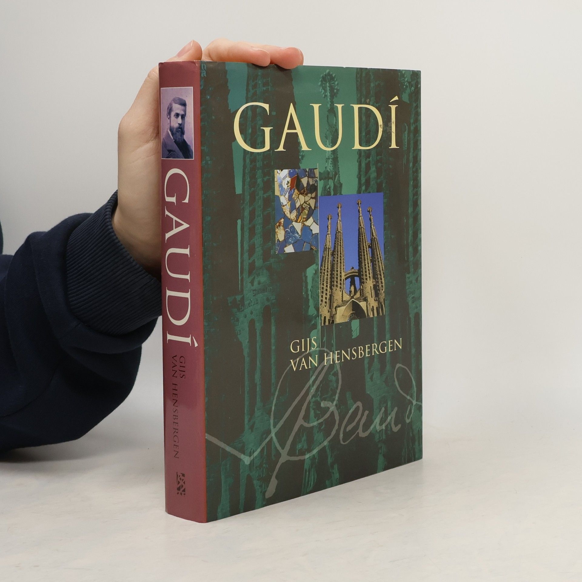 Gijs van Hensbergen Gaudí