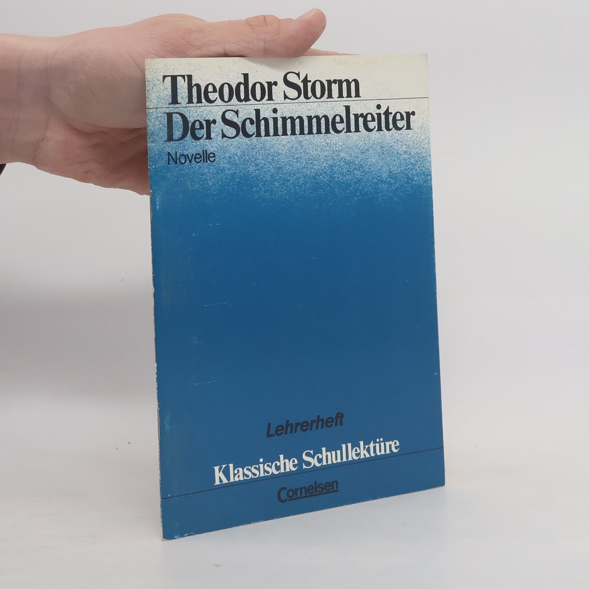Theodor Storm Der Schimmelreiter
